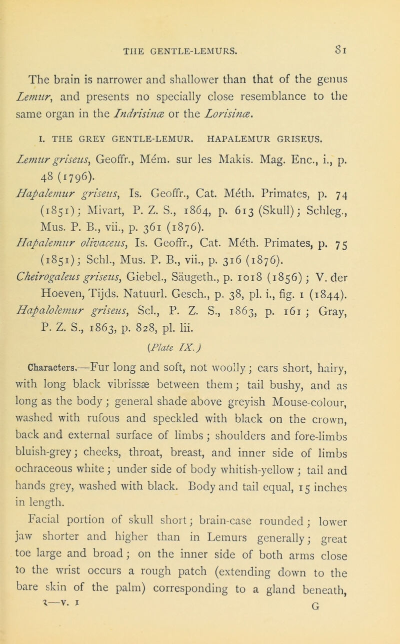 Si The brain is narrower and shallower than that of the genus Lemur, and presents no specially close resemblance to the same organ in the Indrisina or the Lori since. I. THE GREY GENTLE-LEMUR. HAPALEMUR GRISEUS. Lemurgriseus, Geofifr., Mem. sur les Makis. Mag. Enc., i., p. 48 (1796). Hapalemur griseus, Is. Geofifr., Cat. Meth. Primates, p. 74 (1851); Mivart, P. Z. S., 1864, p. 613 (Skull); Schleg., Mus. P. B., vii., p. 361 (1876). Hapalemur olivaceus, Is. Geofifr., Cat. Meth. Primates, p. 75 (1851); Schl., Mus. P. B., vii., p. 316 (1876). Cheirogaleus griseus, Giebel., Saugeth., p. 1018 (1856) ; V. der Hoeven, Tijds. Natuurl. Gesch., p. 38, pi. i., fig. 1 (1844). LLapalolemur griseus, Scl., P. Z. S., 1863, p. 161 ; Gray, P. Z. S., 1863, p. 828, pi. lii. {Plate IX.) Characters.—Fur long and soft, not woolly ; ears short, hairy, with long black vibrissse between them; tail bushy, and as long as the body ; general shade above greyish Mouse-colour, washed with rufous and speckled with black on the crown, back and external surface of limbs ; shoulders and fore-limbs bluish-grey; cheeks, throat, breast, and inner side of limbs ochraceous white ; under side of body whitish-yellow ; tail and hands grey, washed with black. Body and tail equal, 15 inches in length. Facial portion of skull short; brain-case rounded ; lower jaw shorter and higher than in Lemurs generally; great toe large and broad; on the inner side of both arms close to the wrist occurs a rough patch (extending down to the bare skin of the palm) corresponding to a gland beneath, v— v. 1