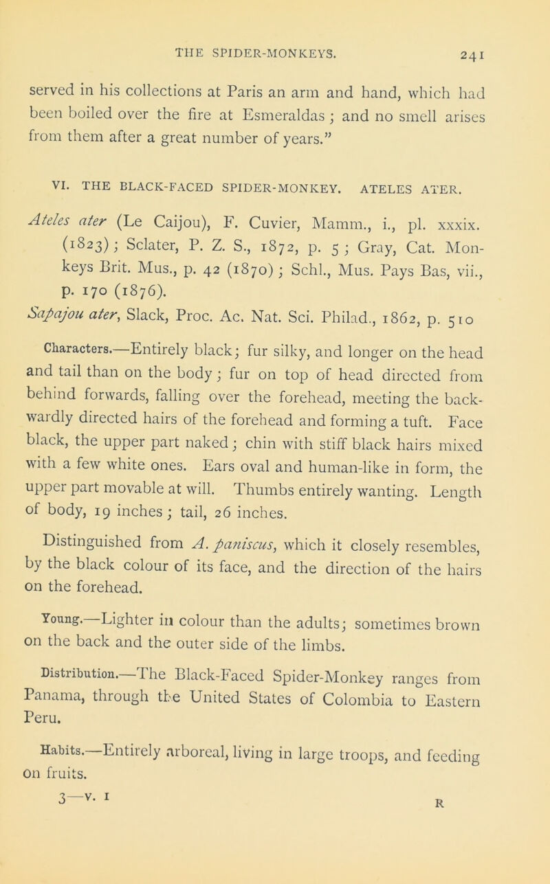 served in his collections at Paris an arm and hand, which had been boiled over the fire at Esmeraldas ; and no smell arises from them after a great number of years.” VI. THE BLACK-FACED SPIDER-MONKEY. ATELES ATER. Ateles ater (Le Caijou), F. Cuvier, Mamm., i., pi. xxxix. (1823); Sclater, P. Z. S., 1872, p. 5; Gray, Cat. Mon- keys Brit. Mus., p. 42 (1870); Schl., Mus. Pays Bas, vii., p. 170 (1876). Sapcijou ater, Slack, Proc. Ac. Nat. Sci. Philad., 1862, p. 510 Characters.—Entirely black; fur silky, and longer on the head and tail than on the body; fur on top of head directed from behind forwards, falling over the forehead, meeting the back- wardly directed hairs of the forehead and forming a tuft. Face black, the upper part naked; chin with stiff black hairs mixed with a few white ones. Ears oval and human-like in form, the upper part movable at will. Thumbs entirely wanting. Length of body, 19 inches ; tail, 26 inches. Distinguished from A. paniscus, which it closely resembles, by the black colour of its face, and the direction of the hairs on the forehead. Young.—Lighter in colour than the adults; sometimes brown on the back and the outer side of the limbs. Distribution. I he Black-Faced Spider-Monkey ranges from Panama, through the United States of Colombia to Eastern Peru. Habits. Entirely arboreal, living in large troops, and feeding On fruits. 3—v. 1 R