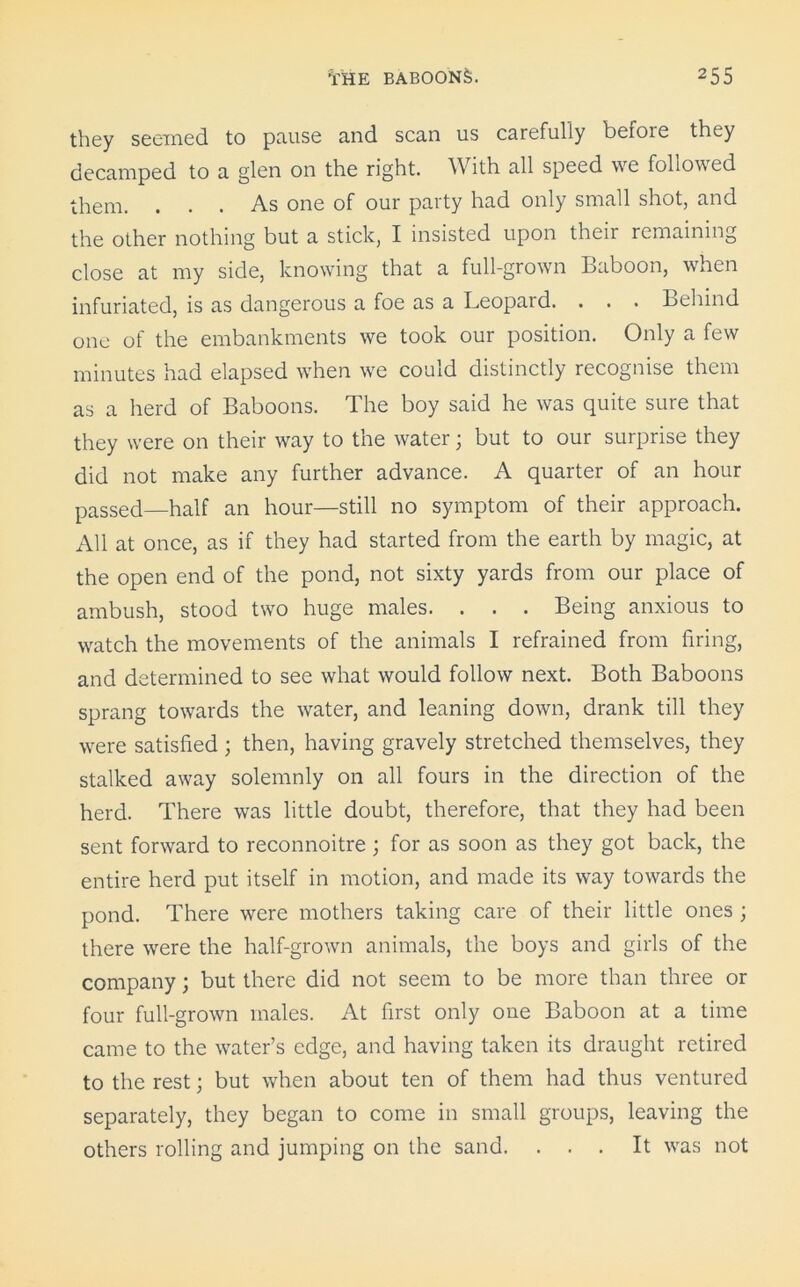 they seemed to pause and scan us carefully before they decamped to a glen on the right. W ith all speed we followed them. ... As one of our party had only small shot, and the other nothing but a stick, I insisted upon their remaining close at my side, knowing that a full-grown baboon, when infuriated, is as dangerous a foe as a Leopard. . . . Behind one of the embankments we took our position. Only a few minutes had elapsed when we could distinctly recognise them as a herd of Baboons. The boy said he was quite sure that they were on their way to the water; but to our surprise they did not make any further advance. A quarter of an hour passed—half an hour—still no symptom of their approach. All at once, as if they had started from the earth by magic, at the open end of the pond, not sixty yards from our place of ambush, stood two huge males. . . . Being anxious to watch the movements of the animals I refrained from firing, and determined to see what would follow next. Both Baboons sprang towards the water, and leaning down, drank till they were satisfied ; then, having gravely stretched themselves, they stalked away solemnly on all fours in the direction of the herd. There was little doubt, therefore, that they had been sent forward to reconnoitre ; for as soon as they got back, the entire herd put itself in motion, and made its way towards the pond. There were mothers taking care of their little ones ; there were the half-grown animals, the boys and girls of the company; but there did not seem to be more than three or four full-grown males. At first only one Baboon at a time came to the water’s edge, and having taken its draught retired to the rest; but when about ten of them had thus ventured separately, they began to come in small groups, leaving the others rolling and jumping on the sand. ... It was not