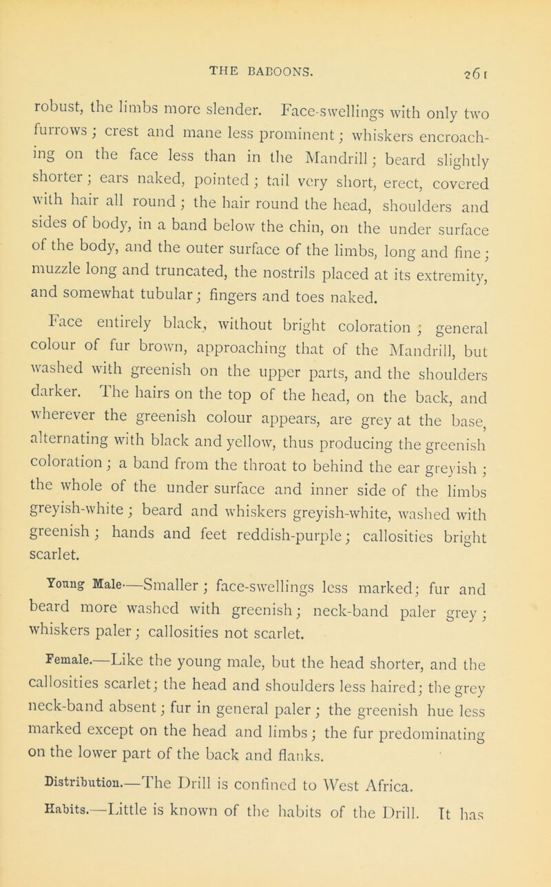 robust, the limbs more slender. Face-swellings with only two funows ; ciest and mane less prominent ; whiskers encroach- ing on the face less than in the Mandrill ; beard slightly shorter; ears naked, pointed ; tail very short, erect, covered with hair all round ; the hair round the head, shoulders and sides of body, in a band below the chin, on the under surface of the body, and the outer surface of the limbs, long and fine; muzzle long and truncated, the nostrils placed at its extremity, and somewhat tubular; fingers and toes naked. Pace entiiely black, without bright coloration ; general colour of fur brown, approaching that of the Mandrill, but washed with greenish on the upper parts, and the shoulders darker. The hairs on the top of the head, on the back, and wherever the greenish colour appears, are grey at the base, alternating with black and yellow, thus producing the greenish coloiation, a band from the throat to behind the ear greyish ; the whole of the under surface and inner side of the limbs greyish-white; beard and whiskers greyish-white, washed with greenish; hands and feet reddish-purple; callosities bright scarlet. Young Male—Smaller; face-swellings less marked; fur and beard more washed with greenish; neck-band paler grey ; whiskers paler; callosities not scarlet. Female.—Like the young male, but the head shorter, and the callosities scarlet; the head and shoulders less haired; the grey neck-band absent; fur in general paler ; the greenish hue less marked except on the head and limbs; the fur predominating on the lower part of the back and flanks. Distribution.—The Drill is confined to West Africa. Habits.—Little is known of the habits of the Drill. It has
