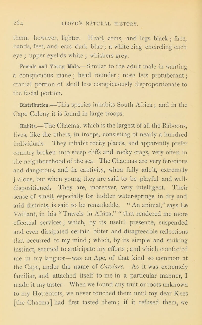 them, however, lighter. Head, arms, and legs black; face, hands, feet, and ears dark blue; a white ring encircling each eye ; upper eyelids white ; whiskers grey. Female and Young Male.—Similar to the adult male in wanting a conspicuous mane ; head rounder; nose less protuberant; cranial portion of skull less conspicuously disproportionate to the facial portion. Distribution.—This species inhabits South Africa; and in the Cape Colony it is found in large troops. Habits.—The Chacma, which is the largest of all the Baboons, lives, like the others, in troops, consisting of nearly a hundred individuals. They inhabit rocky places, and apparently prefer country broken into steep cliffs and rocky crags, very often in the neighbourhood of the sea. The Chacmas are very ferocious and dangerous, and in captivity, when fully adult, extremely j alous, but when young they are said to be playful and well- dispositioned. They are, moreover, very intelligent. Their sense of smell, especially for hidden water-springs in dry and arid districts, is said to be remarkable. “ An animal,” says Le Vaillant, in his “Travels in Africa,” “that rendered me more effectual services; which, by its useful presence, suspended and even dissipated certain bitter and disagreeable reflections that occurred to my mind ; which, by its simple and striking instinct, seemed to anticipate my efforts ; and which comforted me in n.y languor—was an Ape, of that kind so common at the Cape, under the name of Cawiars. As it was extremely familiar, and attached itself to me in a particular manner, I made it my taster. When we found any rruit or roots unknown to my Iiot entots, we never touched them until my dear Ivees [the Chacma] had first tasted them; if it refused them, we