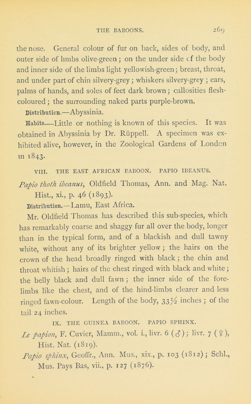 the nose. General colour of fur on back, sides of body, and outer side of limbs olive-green; on the under side cf the body and inner side of the limbs light yellowish-green; breast, throat, and under part of chin silvery-grey; whiskers silvery-grey ; ears, palms of hands, and soles of feet dark brown; callosities flesh- coloured ; the surrounding naked parts purple-brown. Distribution.—Abyssinia. Habits—Little or nothing is known of this species. It was obtained in Abyssinia by Dr. Riippell. A specimen was ex- hibited alive, however, in the Zoological Gardens of London in 1843. VIII. THE EAST AFRICAN EABOON. PAPIO IBEANUS. Papio thoth ibeanus, Oldfield Thomas, Ann. and Mag. Nat. Hist., xi., p. 46 (1893). Distribution.—Lamu, East Africa. Mr. Oldfield Thomas has described this sub-species, which has remarkably coarse and shaggy fur all over the body, longer than in the typical form, and of a blackish and dull tawny white, without any of its brighter yellow ; the hairs on the crown of the head broadly ringed with black ; the chin and throat whitish ; hairs of the chest ringed with black and white; the belly black and dull fawn ; the inner side of the fore- limbs like the chest, and of the hind-limbs clearer and less ringed fawn-colour. Length of the body, 33^ inches ; of the tail 24 inches. IX. THE GUINEA BABOON. PAPIO SPHINX. Le papion, F. Cuvier, Mamrn., vol. i., livr. 6 (<?); livr. 7 ( ? ), Hist. Nat. (1819). Papio sphinx, Geoffr., Ann. Mas., xix., p. 103 (1812); Schl., Mus. Pays Bas, vii., p. 127 (1876).