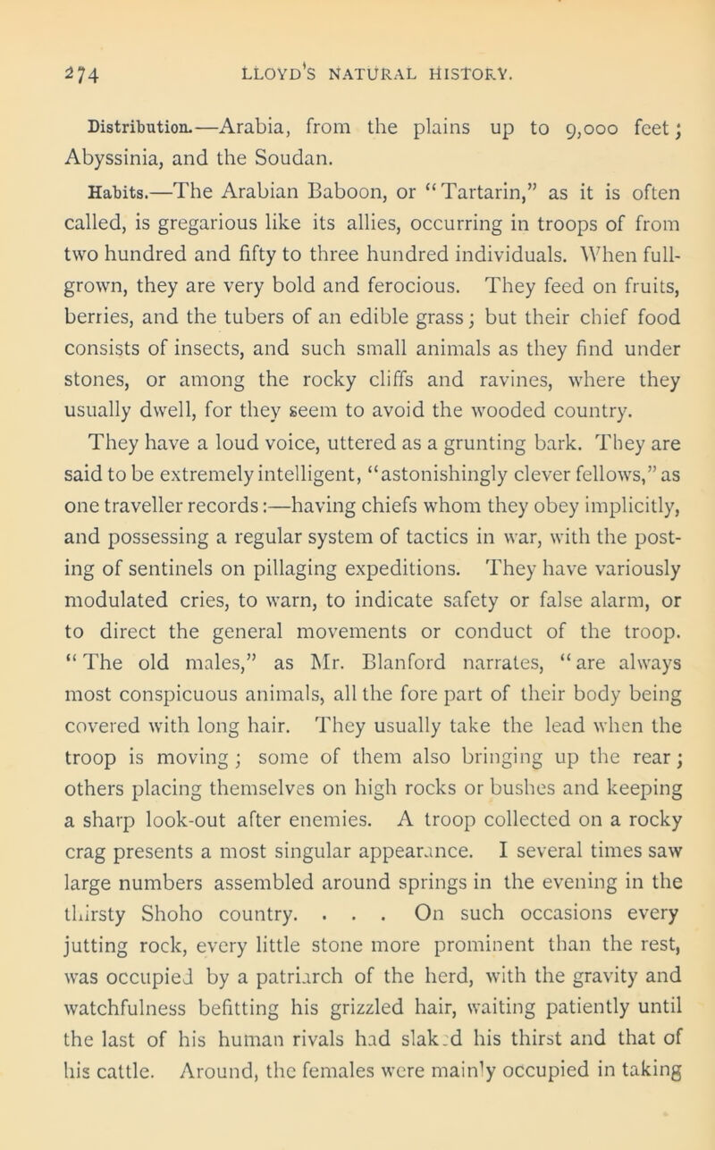 Distribution-—Arabia, from the plains up to 9,000 feet; Abyssinia, and the Soudan. Habits.—The Arabian Baboon, or “Tartarin,” as it is often called, is gregarious like its allies, occurring in troops of from two hundred and fifty to three hundred individuals. When full- grown, they are very bold and ferocious. They feed on fruits, berries, and the tubers of an edible grass; but their chief food consists of insects, and such small animals as they find under stones, or among the rocky cliffs and ravines, where they usually dwell, for they seem to avoid the wooded country. They have a loud voice, uttered as a grunting bark. They are said to be extremely intelligent, “astonishingly clever fellows,” as one traveller records:—having chiefs whom they obey implicitly, and possessing a regular system of tactics in war, with the post- ing of sentinels on pillaging expeditions. They have variously modulated cries, to warn, to indicate safety or false alarm, or to direct the general movements or conduct of the troop. “ The old males,” as Mr. Blanford narrates, “ are always most conspicuous animals, all the fore part of their body being covered with long hair. They usually take the lead when the troop is moving; some of them also bringing up the rear; others placing themselves on high rocks or bushes and keeping a sharp look-out after enemies. A troop collected on a rocky crag presents a most singular appearance. I several times saw large numbers assembled around springs in the evening in the thirsty Shoho country. . . . On such occasions every jutting rock, every little stone more prominent than the rest, was occupied by a patriarch of the herd, with the gravity and watchfulness befitting his grizzled hair, waiting patiently until the last of his human rivals had slak.d his thirst and that of his cattle. Around, the females were mainly occupied in taking