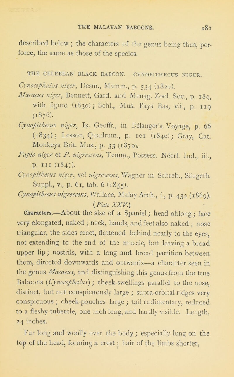 described below ; the characters of the genus being thus, per- force, the same as those of the species. THE CELEBEAN BLACK BABOON. CYNOPITHECUS NIGER. Cynocephalus niger, Desm., Mamm., p. 534 (1820). Macacus niger, Bennett, Card, and Menag. Zool. Soc., p. 1S9, with figure (1830); Schl., Mus. Pays Bas, vii., p. 119 (1876). Cynopithecus niger, Is. Geoffr., in Belanger’s Voyage, p. 66 (1834); Lesson, Quadrum., p. 101 (1840); Gray, Cat. Monkeys Brit. Mus., p. 33 (1870). Papio niger et P. nigrescens, Temm., Possess. Neerl. Ind., iii., p. hi (1S47). Cynopithecus niger, vel nigrescens, Wagner in Schreb., Siiugeth. Suppl., v., p. 61, tab. 6 (1855). Cy?iopithccus nigrescens, Wallace, Malay Arch., i., p. 432 (1869). (Plate XXV.) Characters.—About the size of a Spaniel; head oblong; face very elongated, naked ; neck, hands, and feet also naked ; nose triangular, the sides erect, flattened behind nearly to the eyes, not extending to the end of the muzzle, but leaving a broad upper lip; nostrils, with a long and broad partition between them, directed downwards and outwards—a character seen in the genus Macacus, and distinguishing this genus from the true Baboons (Cynocephalus); cheek-swellings parallel to the nose, distinct, but not conspicuously large ; supra-orbital ridges very conspicuous ; cheek-pouches large ; tail rudimentary, reduced to a fleshy tubercle, one inch long, and hardly visible. Length, 24 inches. Fur long and woolly over the body; especially long on the top of the head, forming a crest ; hair of the limbs shorter.