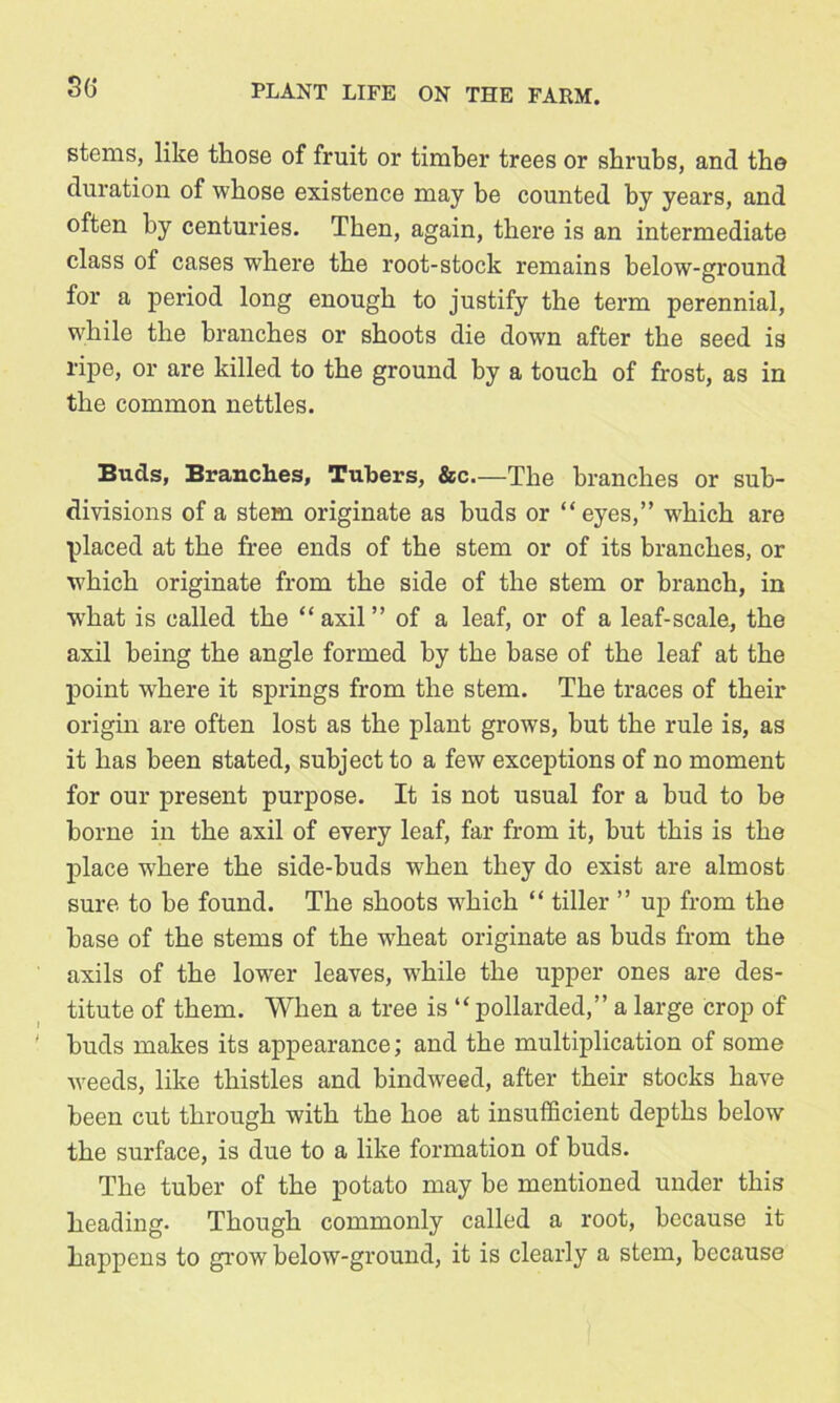 stems, like those of fruit or timber trees or shrubs, and the duration of whose existence may he counted by years, and often by centuries. Then, again, there is an intermediate class of cases where the root-stock remains below-ground for a period long enough to justify the term perennial, while the branches or shoots die down after the seed is ripe, or are killed to the ground by a touch of frost, as in the common nettles. BucTs, Branches, Tuhers, &c.—The branches or sub- divisions of a stem originate as buds or “eyes,” which are placed at the free ends of the stem or of its branches, or which originate from the side of the stem or branch, in what is called the “axil” of a leaf, or of a leaf-scale, the axil being the angle formed by the base of the leaf at the point wdiere it springs from the stem. The traces of their origin are often lost as the plant grows, hut the rule is, as it has been stated, subject to a few exceptions of no moment for our present purpose. It is not usual for a bud to be borne in the axil of every leaf, far from it, hut this is the place where the side-buds when they do exist are almost sure to he found. The shoots which “ tiller ” up from the base of the stems of the wheat originate as buds from the axils of the lower leaves, while the upper ones are des- titute of them. When a tree is “ pollarded,” a large crop of buds makes its appearance; and the multiplication of some weeds, like thistles and bindweed, after their stocks have been cut through with the hoe at insufficient depths below the surface, is due to a like formation of buds. The tuber of the potato may be mentioned under this heading. Though commonly called a root, because it happens to grow below-ground, it is clearly a stem, because