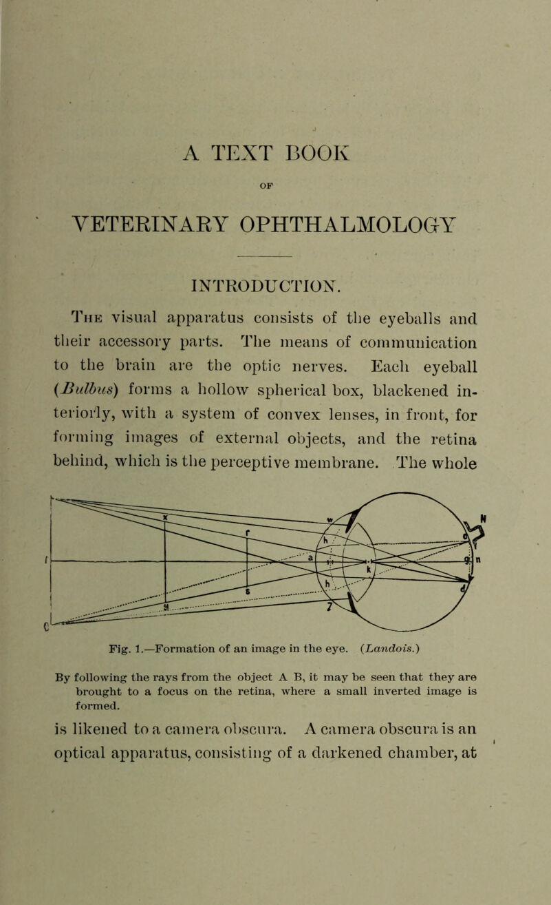 OF VETERINARY OPHTHALMOLOGY INTRODUCTION. The visual apparatus consists of the eyeballs and their accessory parts. The means of communication to the brain are the optic nerves. Each eyeball (Bulbus) forms a hollow spherical box, blackened in- teriorly, with a system of convex lenses, in front, for forming images of external objects, and the retina behind, which is the perceptive membrane. The whole By following the rays from the object A B, it may be seen that they are brought to a focus on the retina, where a small inverted image is formed. is likened to a camera obscura. A camera obscura is an optical apparatus, consisting of a darkened chamber, at