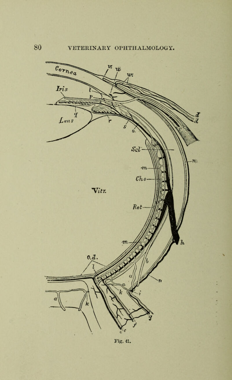 Fig. 41.