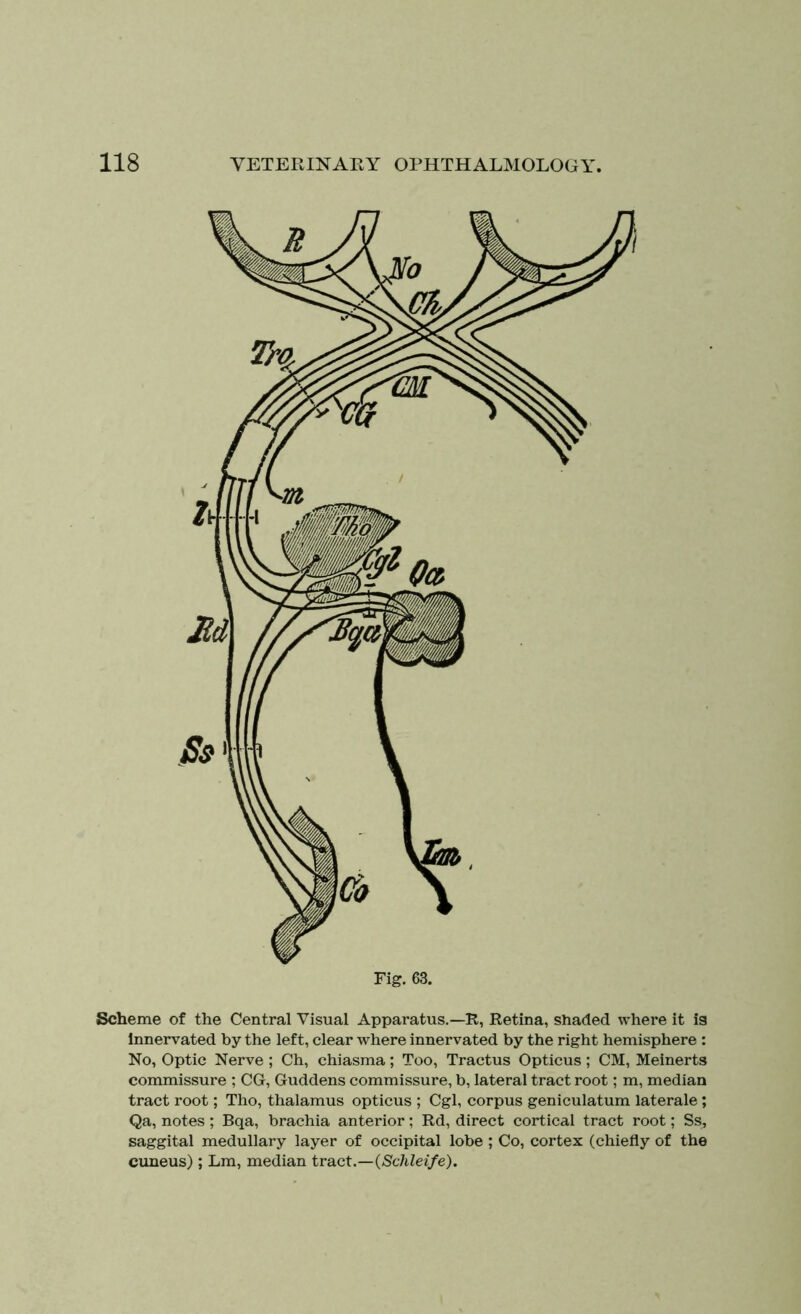 Scheme of the Central Visual Apparatus.—R, Retina, shaded where it is Innervated by the left, clear where innervated by the right hemisphere : No, Optic Nerve ; Ch, chiasma; Too, Tractus Opticus; CM, Meinerts commissure ; CG, Guddens commissure, b, lateral tract root; m, median tract root; Tho, thalamus opticus ; Cgl, corpus geniculatum laterale; Qa, notes ; Bqa, brachia anterior; Rd, direct cortical tract root; Ss, saggital medullary layer of occipital lobe ; Co, cortex (chiefly of the cuneus); Lm, median tract.—(Schleife).