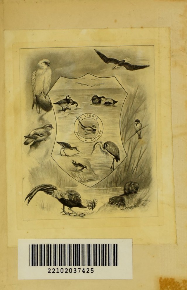 No text description is available for this image