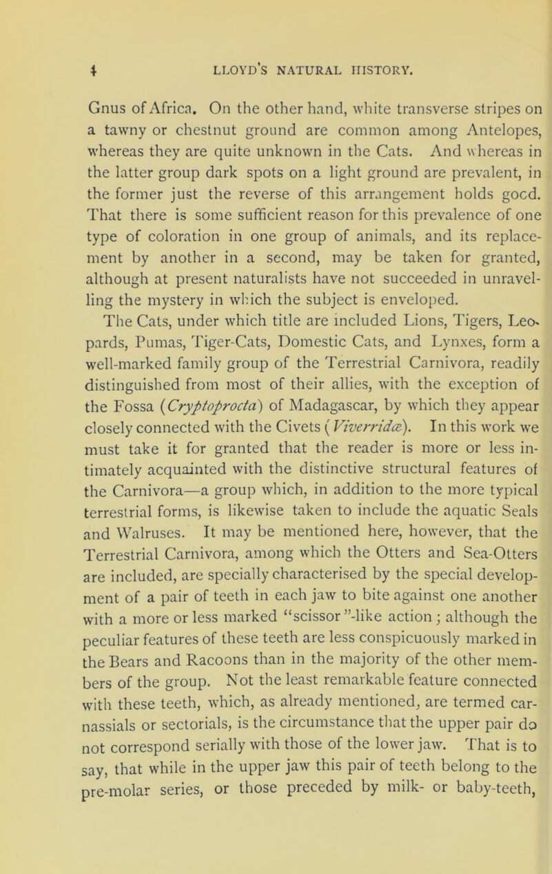 Gnus of Africa. On the other hand, white transverse stripes on a tawny or chestnut ground are common among Antelopes, whereas they are quite unknown in the Cats. And whereas in the latter group dark spots on a light ground are prevalent, in the former just the reverse of this arrangement holds gocd. That there is some sufficient reason for this prevalence of one type of coloration in one group of animals, and its replace- ment by another in a second, may be taken for granted, although at present naturalists have not succeeded in unravel- ling the mystery in which the subject is enveloped. The Cats, under which title are included Lions, Tigers, Leo- pards, Pumas, Tiger-Cats, Domestic Cats, and Lynxes, form a well-marked family group of the Terrestrial Carnivora, readily distinguished from most of their allies, with the exception of the Fossa (Cryptoprocta) of Madagascar, by which they appear closely connected with the Civets (Viverrida). In this work we must take it for granted that the reader is more or less in- timately acquainted with the distinctive structural features of the Carnivora—a group which, in addition to the more typical terrestrial forms, is likewise taken to include the aquatic Seals and Walruses. It may be mentioned here, however, that the Terrestrial Carnivora, among which the Otters and Sea-Otters are included, are specially characterised by the special develop- ment of a pair of teeth in each jaw to bite against one another with a more or less marked “scissor’’-like action j although the peculiar features of these teeth are less conspicuously marked in the Bears and Racoons than in the majority of the other mem- bers of the group. Not the least remarkable feature connected with these teeth, which, as already mentioned, are termed car- nassials or sectorials, is the circumstance that the upper pair do not correspond serially with those of the lower jaw. That is to say, that while in the upper jaw this pair of teeth belong to the pre-molar series, or those preceded by milk- or baby-teeth,