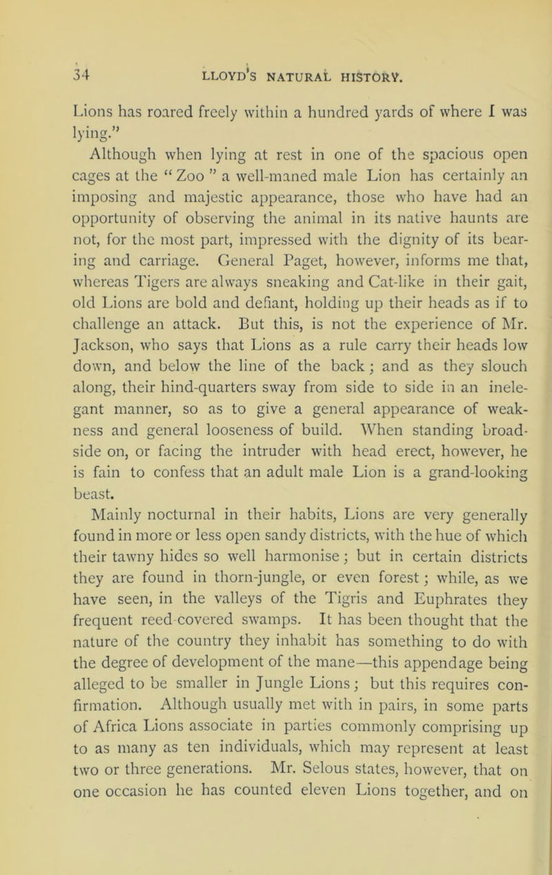 Lions has roared freely within a hundred yards of where I was lying.” Although when lying at rest in one of the spacious open cages at the “ Zoo ” a well-maned male Lion has certainly an imposing and majestic appearance, those who have had an opportunity of observing the animal in its native haunts are not, for the most part, impressed with the dignity of its bear- ing and carriage. General Paget, however, informs me that, whereas Tigers are always sneaking and Cat-like in their gait, old Lions are bold and defiant, holding up their heads as if to challenge an attack. But this, is not the experience of Mr. Jackson, who says that Lions as a rule carry their heads low down, and below the line of the back ; and as they slouch along, their hind-quarters sway from side to side in an inele- gant manner, so as to give a general appearance of weak- ness and general looseness of build. When standing broad- side on, or facing the intruder with head erect, however, he is fain to confess that an adult male Lion is a grand-looking beast. Mainly nocturnal in their habits, Lions are very generally found in more or less open sandy districts, with the hue of which their tawny hides so well harmonise; but in certain districts they are found in thorn-jungle, or even forest; while, as we have seen, in the valleys of the Tigris and Euphrates they frequent reed covered swamps. It has been thought that the nature of the country they inhabit has something to do with the degree of development of the mane—this appendage being alleged to be smaller in Jungle Lions; but this requires con- firmation. Although usually met with in pairs, in some parts of Africa Lions associate in parties commonly comprising up to as many as ten individuals, which may represent at least two or three generations. Mr. Selous states, however, that on one occasion he has counted eleven Lions together, and on