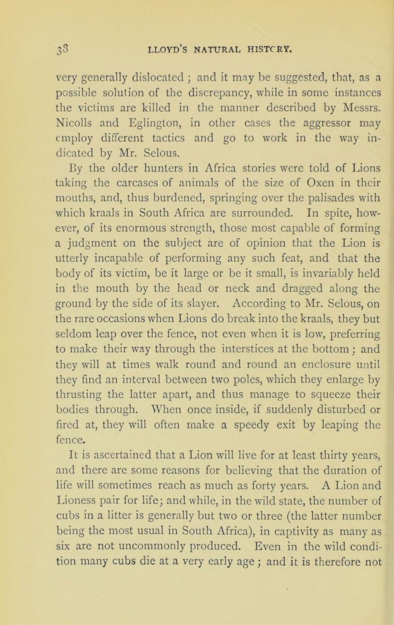 very generally dislocated ; and it mny be suggested, that, as a possible solution of the discrepancy, while in some instances the victims are killed in the manner described by Messrs. Nicolls and Eglington, in other cases the aggressor may employ different tactics and go to work in the way in- dicated by Mr. Selous. By the older hunters in Africa stories were told of Lions taking the carcases of animals of the size of Oxen in their mouths, and, thus burdened, springing over the palisades with which kraals in South Africa are surrounded. In spite, how- ever, of its enormous strength, those most capable of forming a judgment on the subject are of opinion that the Lion is utterly incapable of performing any such feat, and that the body of its victim, be it large or be it small, is invariably held in the mouth by the head or neck and dragged along the ground by the side of its slayer. According to Mr. Selous, on the rare occasions when Lions do break into the kraals, they but seldom leap over the fence, not even when it is low, preferring to make their way through the interstices at the bottom ; and they will at times walk round and round an enclosure until they find an interval between two poles, which they enlarge by thrusting the latter apart, and thus manage to squeeze their bodies through. When once inside, if suddenly disturbed or fired at, they will often make a speedy exit by leaping the fence. It is ascertained that a Lion will live for at least thirty years, and there are some reasons for believing that the duration of life will sometimes reach as much as forty years. A Lion and Lioness pair for life; and while, in the wild state, the number of cubs in a litter is generally but two or three (the latter number being the most usual in South Africa), in captivity as many as six are not uncommonly produced. Even in the wild condi- tion many cubs die at a very early age; and it is therefore not