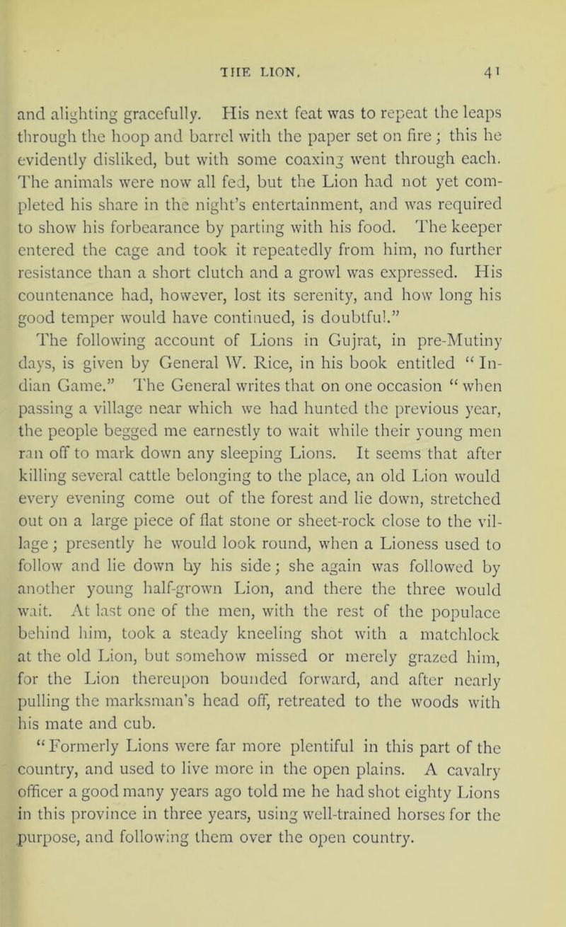 and alighting gracefully. His next feat was to repeat the leaps through the hoop and barrel with the paper set on fire; this he evidently disliked, but with some coaxing went through each. The animals were now all fed, but the Lion had not yet com- pleted his share in the night’s entertainment, and was required to show his forbearance by parting with his food. The keeper entered the cage and took it repeatedly from him, no further resistance than a short clutch and a growl was expressed. His countenance had, however, lost its serenity, and how long his good temper would have continued, is doubtful.” The following account of Lions in Gujrat, in pre-Mutiny days, is given by General W. Rice, in his book entitled “ In- dian Game.” The General writes that on one occasion “ when passing a village near which we had hunted the previous year, the people begged me earnestly to wait while their young men ran off to mark down any sleeping Lions. It seems that after killing several cattle belonging to the place, an old Lion would every evening come out of the forest and lie down, stretched out on a large piece of flat stone or sheet-rock close to the vil- lage ; presently he would look round, when a Lioness used to follow and lie down by his side; she again was followed by another young half-grown Lion, and there the three would wait. At last one of the men, with the rest of the populace behind him, took a steady kneeling shot with a matchlock at the old Lion, but somehow missed or merely grazed him, for the Lion thereupon bounded forward, and after nearly pulling the marksman’s head off, retreated to the woods with his mate and cub. “Formerly Lions were far more plentiful in this part of the country, and used to live more in the open plains. A cavalry officer a good many years ago told me he had shot eighty Lions in this province in three years, using well-trained horses for the purpose, and following them over the open country.