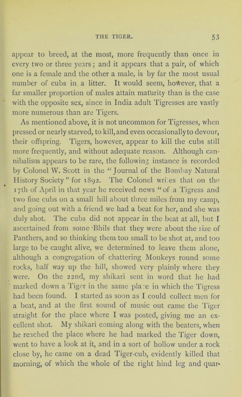 appear to breed, at the most, more frequently than once in every two or three years; and it appears that a pair, of which one is a female and the other a male, is by far the most usual number of cubs in a litter. It would seem, however, that a far smaller proportion of males attain maturity than is the case with the opposite sex, since in India adult Tigresses are vastly more numerous than are Tigers. As mentioned above, it is not uncommon for Tigresses, when pressed or nearly starved, to kill, and even occasionally to devour, their offspring. Tigers, however, appear to kill the cubs still more frequently, and without adequate reason. Although can- nibalism appears to be rare, the following instance is recorded by Colonel W. Scott in the “Journal of the Bombay Natural History Society ” for 1892. The Colonel wri.es that on the 17th of April in that year he received news “of a Tigress and two fine cubs on a small hill about three miles from my camp, and going out with a friend we had a beat for her, and she was duly shot. The cubs did not appear in the beat at all, but I ascertained from some -Bhils that they were about the size of Panthers, and so thinking them too small to be shot at, and too large to be caught alive, we determined to leave them alone, although a congregation of chattering Monkeys round some rocks, half way up the hill, showed very plainly where they were. On the 22nd, my shikari sent in word that he had marked down a Tiger in the same pla:e in which the Tigress had been found. I started as soon as I could collect men for a beat, and at the first sound of music out came the Tiger straight for the place where I was posted, giving me an ex- cellent shot. My shikari coming along with the beaters, when he reached the place where he had marked the Tiger down, went to have a look at it, and in a sort of hollow under a rock close by, he came on a dead Tiger-cub, evidently killed that morning, of which the whole of the right hind leg and quar-