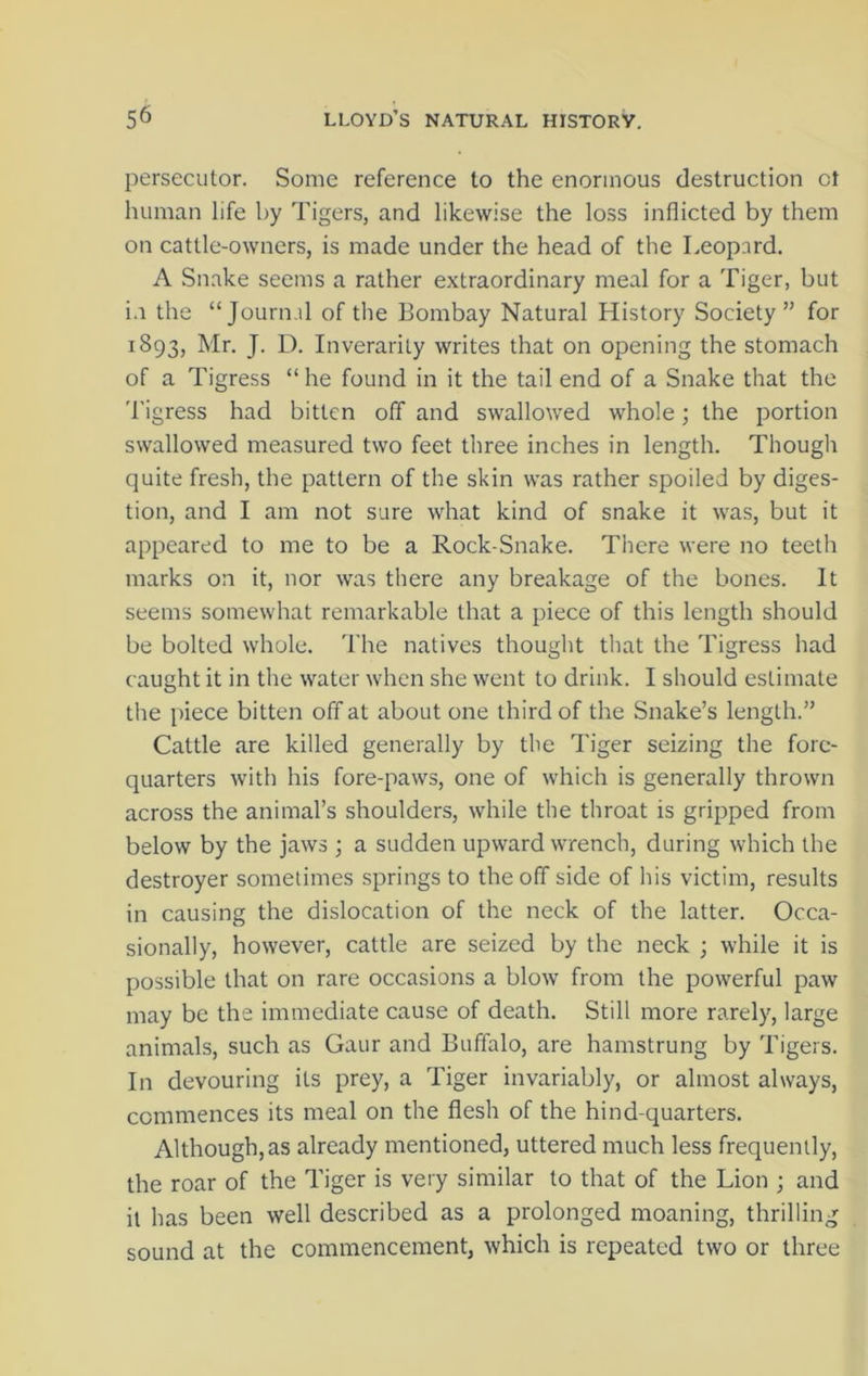 persecutor. Some reference to the enormous destruction ct human life by Tigers, and likewise the loss inflicted by them on cattle-owners, is made under the head of the Leopard. A Snake seems a rather extraordinary meal for a Tiger, but i.i the “Journal of the Bombay Natural History Society” for 1893, Mr. J. D. Inverarity writes that on opening the stomach of a Tigress “ he found in it the tail end of a Snake that the Tigress had bitten off and swallowed whole; the portion swallowed measured two feet three inches in length. Though quite fresh, the pattern of the skin was rather spoiled by diges- tion, and I am not sure what kind of snake it was, but it appeared to me to be a Rock-Snake. There were no teeth marks on it, nor was there any breakage of the bones. It seems somewhat remarkable that a piece of this length should be bolted whole. The natives thought that the Tigress had caught it in the water when she went to drink. I should estimate the piece bitten off at about one third of the Snake’s length.” Cattle are killed generally by the Tiger seizing the fore- quarters with his fore-paws, one of which is generally thrown across the animal’s shoulders, while the throat is gripped from below by the jaws ; a sudden upward wrench, during which the destroyer sometimes springs to the off side of his victim, results in causing the dislocation of the neck of the latter. Occa- sionally, however, cattle are seized by the neck ; while it is possible that on rare occasions a blow from the powerful paw may be the immediate cause of death. Still more rarely, large animals, such as Gaur and Buffalo, are hamstrung by Tigers. In devouring its prey, a Tiger invariably, or almost always, commences its meal on the flesh of the hind-quarters. Although, as already mentioned, uttered much less frequently, the roar of the Tiger is very similar to that of the Lion ; and it has been well described as a prolonged moaning, thrilling sound at the commencement, which is repeated two or three