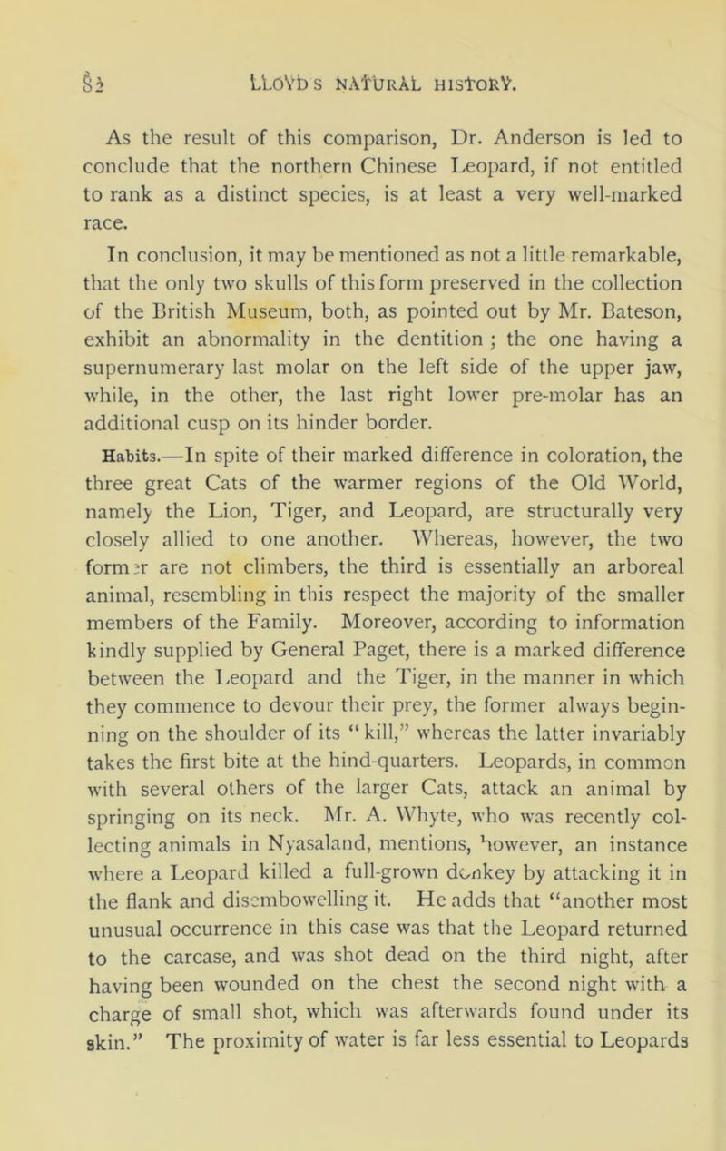 As the result of this comparison, Ur. Anderson is led to conclude that the northern Chinese Leopard, if not entitled to rank as a distinct species, is at least a very well-marked race. In conclusion, it may be mentioned as not a little remarkable, that the only two skulls of this form preserved in the collection of the British Museum, both, as pointed out by Mr. Bateson, exhibit an abnormality in the dentition ; the one having a supernumerary last molar on the left side of the upper jaw, while, in the other, the last right lower pre-molar has an additional cusp on its hinder border. Habits.—In spite of their marked difference in coloration, the three great Cats of the warmer regions of the Old World, namely the Lion, Tiger, and Leopard, are structurally very closely allied to one another. Whereas, however, the two former are not climbers, the third is essentially an arboreal animal, resembling in this respect the majority of the smaller members of the Family. Moreover, according to information kindly supplied by General Paget, there is a marked difference between the Leopard and the Tiger, in the manner in which they commence to devour their prey, the former always begin- ning on the shoulder of its “ kill,” whereas the latter invariably takes the first bite at the hind-quarters. Leopards, in common with several others of the larger Cats, attack an animal by springing on its neck. Mr. A. Whyte, who was recently col- lecting animals in Nyasaland, mentions, however, an instance where a Leopard killed a full-grown donkey by attacking it in the flank and disembowelling it. He adds that “another most unusual occurrence in this case was that the Leopard returned to the carcase, and was shot dead on the third night, after having been wounded on the chest the second night with a charge of small shot, which was afterwards found under its skin.” The proximity of water is far less essential to Leopards