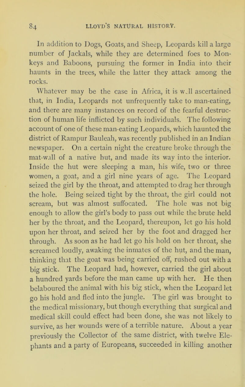 In addition to Dogs, Goats, and Sheep, Leopards kill a large number of Jackals, while they are determined foes to Mon- keys and Baboons, pursuing the former in India into their haunts in the trees, while the latter they attack among the rocks. Whatever may be the case in Africa, it is w_ll ascertained that, in India, Leopards not unfrequently take to man-eating, and there are many instances on record of the fearful destruc- tion of human life inflicted by such individuals. The following account of one of these man-eating Leopards, which haunted the district of Rampur Bauleah, was recently published in an Indian newspaper. On a certain night the creature broke through the mat-wall of a native hut, and made its way into the interior. Inside the hut were sleeping a man, his wife, two or three women, a goat, and a girl nine years of age. The Leopard seized the girl by the throat, and attempted to drag her through the hole. Being seized tight by the throat, the girl could not scream, but was almost suffocated. The hole was not big enough to allow the girl’s body to pass out while the brute held her by the throat, and the Leopard, thereupon, let go his hold upon her throat, and seized her by the foot and dragged her through. As soon as he had let go his hold on her throat, she screamed loudly, awaking the inmates of the hut, and the man, thinking that the goat was being carried off, rushed out with a big stick. The Leopard had, however, carried the girl about a hundred yards before the man came up with her. He then belaboured the animal with his big stick, when the Leopard let go his hold and fled into the jungle. The girl was brought to the medical missionary, but though everything that surgical and medical skill could effect had been done, she was not likely to survive, as her wounds were of a terrible nature. About a year previously the Collector of the same district, with twelve Ele- phants and a party of Europeans, succeeded in killing another
