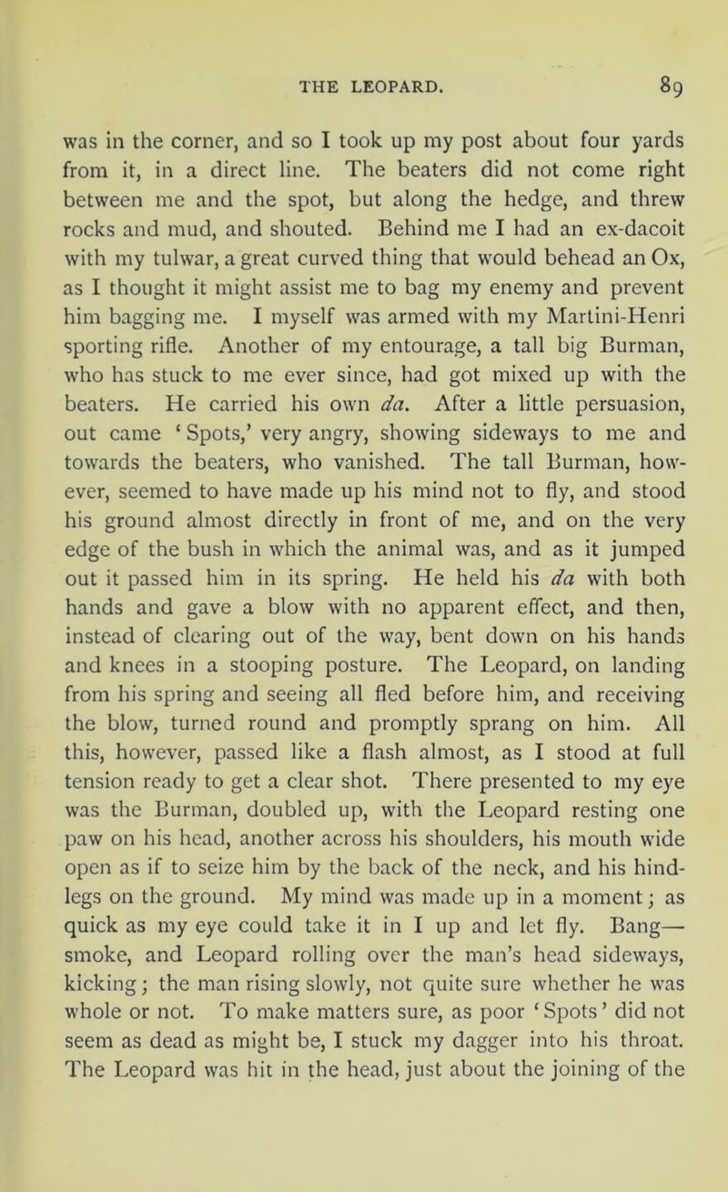 was in the corner, and so I took up my post about four yards from it, in a direct line. The beaters did not come right between me and the spot, but along the hedge, and threw rocks and mud, and shouted. Behind me I had an ex-dacoit with my tulwar, a great curved thing that would behead an Ox, as I thought it might assist me to bag my enemy and prevent him bagging me. I myself was armed with my Martini-Henri sporting rifle. Another of my entourage, a tall big Burman, who has stuck to me ever since, had got mixed up with the beaters. He carried his own da. After a little persuasion, out came ‘ Spots,’ very angry, showing sideways to me and towards the beaters, who vanished. The tall Burman, how- ever, seemed to have made up his mind not to fly, and stood his ground almost directly in front of me, and on the very edge of the bush in which the animal was, and as it jumped out it passed him in its spring. He held his da with both hands and gave a blow with no apparent effect, and then, instead of clearing out of the way, bent down on his hands and knees in a stooping posture. The Leopard, on landing from his spring and seeing all fled before him, and receiving the blow, turned round and promptly sprang on him. All this, however, passed like a flash almost, as I stood at full tension ready to get a clear shot. There presented to my eye was the Burman, doubled up, with the Leopard resting one paw on his head, another across his shoulders, his mouth wide open as if to seize him by the back of the neck, and his hind- legs on the ground. My mind was made up in a moment; as quick as my eye could take it in I up and let fly. Bang— smoke, and Leopard rolling over the man’s head sideways, kicking; the man rising slowly, not quite sure whether he was whole or not. To make matters sure, as poor ‘Spots’ did not seem as dead as might be, I stuck my dagger into his throat. The Leopard was hit in the head, just about the joining of the