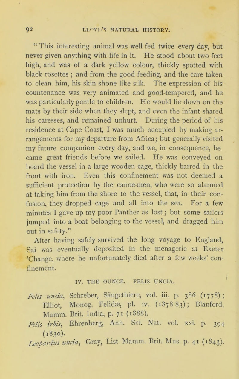 “ This interesting animal was well fed twice every day, but never given anything with life in it. He stood about two feet high, and was of a dark yellow colour, thickly spotted with black rosettes ; and from the good feeding, and the care taken to clean him, his skin shone like silk. The expression of his countenance was very animated and good-tempered, and he was particularly gentle to children. He would lie down on the mats by their side when they slept, and even the infant shared his caresses, and remained unhurt. During the period of his residence at Cape Coast, I was much occupied by making ar- rangements for my departure from Africa; but generally visited my future companion every day, and we, in consequence, be came great friends before we sailed. He was conveyed on board the vessel in a large wooden cage, thickly barred in the front with iron. Even this confinement was not deemed a sufficient protection by the canoe-men, who were so alarmed at taking him from the shore to the vessel, that, in their con- fusion, they dropped cage and all into the sea. For a few minutes I gave up my poor Panther as lost; but some sailors jumped into a boat belonging to the vessel, and dragged him out in safety.” After having safely survived the long voyage to England, Sai was eventually deposited in the menagerie at Exeter ’Change, where he unfortunately died after a few weeks’ con- finement. IV. THE OUNCE. FELIS UNCIA. Felis uncia, Schreber, Saugethiere, vol. iii. p. 386 (1778); Elliot, Monog. Felidae, pi. iv. (1878-83); Blanford, Mamm. Brit. India, p. 71 (1888). Felis irbis, Ehrenberg, Ann. Sci. Nat. vol. xxi. p. 394 (1830). Leopardus uncia, Gray, List Mamm. Brit. Mus. p. 41 (1843).