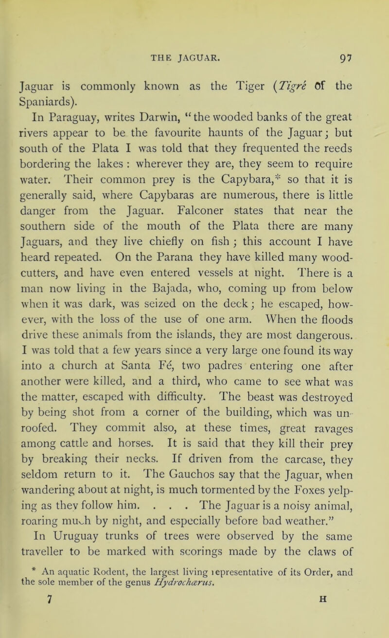 Jaguar is commonly known as the Tiger (Tigre Of the Spaniards). In Paraguay, writes Darwin, “the wooded banks of the great rivers appear to be the favourite haunts of the Jaguar; but south of the Plata I was told that they frequented the reeds bordering the lakes : wherever they are, they seem to require water. Their common prey is the Capybara,* so that it is generally said, where Capybaras are numerous, there is little danger from the Jaguar. Falconer states that near the southern side of the mouth of the Plata there are many Jaguars, and they live chiefly on fish ; this account I have heard repeated. On the Parana they have killed many wood- cutters, and have even entered vessels at night. There is a man now living in the Bajada, who, coming up from below when it was dark, was seized on the deck; he escaped, how- ever, with the loss of the use of one arm. When the floods drive these animals from the islands, they are most dangerous. I was told that a few years since a very large one found its way into a church at Santa Fe, two padres entering one after another were killed, and a third, who came to see what was the matter, escaped with difficulty. The beast was destroyed by being shot from a corner of the building, which was un- roofed. They commit also, at these times, great ravages among cattle and horses. It is said that they kill their prey by breaking their necks. If driven from the carcase, they seldom return to it. The Gauchos say that the Jaguar, when wandering about at night, is much tormented by the Foxes yelp- ing as thev follow him. . . . The Jaguar is a noisy animal, roaring mu^h by night, and especially before bad weather.” In Uruguay trunks of trees were observed by the same traveller to be marked with scorings made by the claws of * An aquatic Rodent, the largest living lepresentative of its Order, and the sole member of the genus Hydrockier us. 7 H