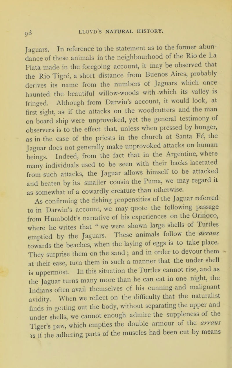 9° Taguars. In reference to the statement as to the former abun- dance of these animals in the neighbourhood of the Rio de La Plata made in the foregoing account, it may be observed that the Rio Tigre, a short distance from Buenos Aires, probably derives its name from the numbers of Jaguars which once haunted the beautiful willow-woods with -which its valley is fringed. Although from Darwin’s account, it would look, at first sight, as if the attacks on the woodcutters and the man on board ship were unprovoked, yet the general testimony of observers is to the effect that, unless when pressed by hunger, as in the case of the priests in the church at Santa Fe, the Jaguar does not generally make unprovoked attacks on human beings. Indeed^ from the fact that in the Argentine, where many individuals used to be seen with their backs lacerated from such attacks, the Jaguar allows himself to be attacked and beaten by its smaller cousin the Puma, we may regard it as somewhat of a cowardly creature than otherwise. As confirming the fishing propensities of the Jaguar referred to in Darwin’s account, we may quote the following passage from Humboldt’s narrative of his experiences on the Orinoco, where he writes that “we were shown large shells of lurtles emptied by the Jaguars. These animals follow the arraus towards the beaches, when the laying of eggs is to take place. They surprise them on the sand; and in order to devour them - at their ease, turn them in such a manner that the under shell is uppermost. In this situation the Turtles cannot rise, and as the Jaguar turns many more than he can eat in one night, the Indians often avail themselves of his cunning and malignant avidity. When we reflect on the difficulty that the naturalist finds in getting out the body, without separating the upper and under shells, we cannot enough admire the suppleness of the Tiger’s paw, which empties the double armour of the arraus is if the adhering parts of the muscles had been cut by means