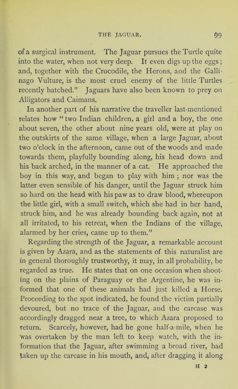 of a surgical instrument. The Jaguar pursues the Turtle quite into the water, when not very deep. It even digs up the eggs; and, together with the Crocodile, the Herons, and the Galli- nago Vulture, is the most cruel enemy of the little Turtles recently hatched.” Jaguars have also been known to prey on Alligators and Caimans. In another part of his narrative the traveller last-mentioned relates how “ two Indian children, a girl and a boy, the one about seven, the other about nine years old, were at play on the outskirts of the same village, when a large Jaguar, about two o’clock in the afternoon, came out of the woods and made towards them, playfully bounding along, his head down and his back arched, in the manner of a cat. He approached the boy in this way, and began to play with him ; nor was the latter even sensible of his danger, until the Jaguar struck him so hard on the head with his paw as to draw blood, whereupon the little girl, with a small switch, which she had in her hand, struck him, and he was already bounding back again, not at all irritated, to his retreat, when the Indians of the village, alarmed by her cries, came up to them.” Regarding the strength of the Jaguar, a remarkable account is given by Azara, and as the statements of this naturalist are in general thoroughly trustworthy, it may, in all probability, be regarded as true. He states that on one occasion when shoot- ing on the plains of Paraguay or the Argentine, he was in- formed that one of these animals had just killed a Horse. Proceeding to the spot indicated, he found the victim partially devoured, but no trace of the Jaguar, and the carcase was accordingly dragged near a tree, to which Azara proposed to return. Scarcely, however, had he gone half-a-mile, when he Was overtaken by the man left to keep watch, with the in- formation that the Jaguar, after swimming a broad river, had taken up the carcase in his mouth, and, after dragging it along H 2