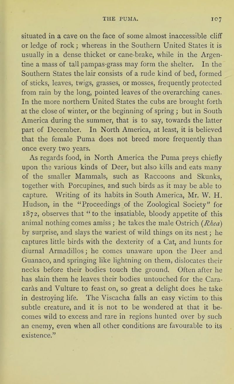 situated in a cave on the face of some almost inaccessible cliff or ledge of rock; whereas in the Southern United States it is usually in a dense thicket or cane-brake, while in the Argen- tine a mass of tall pampas-grass may form the shelter. In the Southern States the lair consists of a rude kind of bed, formed of sticks, leaves, twigs, grasses, or mosses, frequently protected from rain by the long, pointed leaves of the overarching canes. In the more northern United States the cubs are brought forth at the close of winter, or the beginning of spring ; but in South America during the summer, that is to say, towards the latter part of December. In North America, at least, it is believed that the female Puma does not breed more frequently than once every two years. As regards food, in North America the Puma preys chiefly upon the various kinds of Deer, but also kills and eats many of the smaller Mammals, such as Raccoons and Skunks, together with Porcupines, and such birds as it may be able to capture. Writing of its habits in South America, Mr. W. H. Hudson, in the “Proceedings of the Zoological Society” for 1872, observes that “to the insatiable, bloody appetite of this animal nothing comes amiss ; he takes the male Ostrich (Rhea) by surprise, and slays the wariest of wild things on its nest; he captures little birds with the dexterity of a Cat, and hunts for diurnal Armadillos; he comes unaware upon the Deer and Guanaco, and springing like lightning on them, dislocates their necks before their bodies touch the ground. Often after he has slain them he leaves their bodies untouched for the Cara- caras and Vulture to feast on, so great a delight does he take in destroying life. The Viscacha falls an easy victim to this subtle creature, and it is not to be wondered at that it be- comes wild to excess and rare in regions hunted over by such an enemy, even when all other conditions are favourable to its existence.”