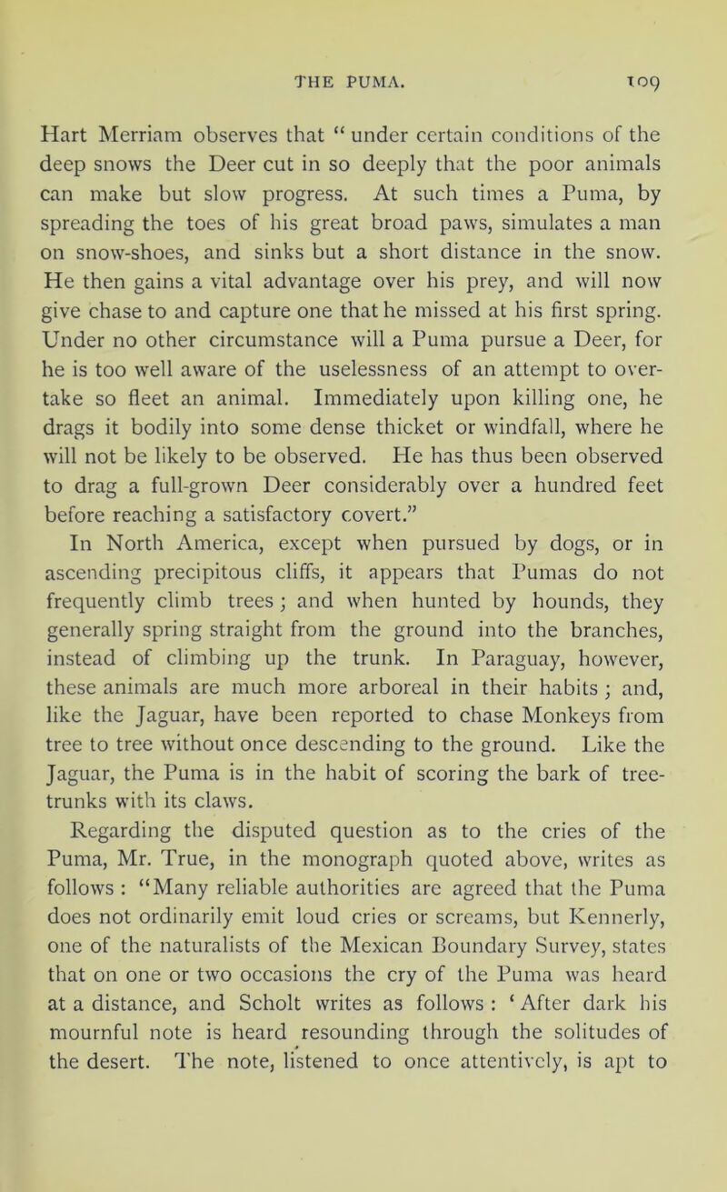 Hart Merriam observes that “ under certain conditions of the deep snows the Deer cut in so deeply that the poor animals can make but slow progress. At such times a Puma, by spreading the toes of his great broad paws, simulates a man on snow-shoes, and sinks but a short distance in the snow. He then gains a vital advantage over his prey, and will now give chase to and capture one that he missed at his first spring. Under no other circumstance will a Puma pursue a Deer, for he is too well aware of the uselessness of an attempt to over- take so fleet an animal. Immediately upon killing one, he drags it bodily into some dense thicket or windfall, where he will not be likely to be observed. He has thus been observed to drag a full-grown Deer considerably over a hundred feet before reaching a satisfactory covert.” In North America, except when pursued by dogs, or in ascending precipitous cliffs, it appears that Pumas do not frequently climb trees; and when hunted by hounds, they generally spring straight from the ground into the branches, instead of climbing up the trunk. In Paraguay, however, these animals are much more arboreal in their habits ; and, like the Jaguar, have been reported to chase Monkeys from tree to tree without once descending to the ground. Like the Jaguar, the Puma is in the habit of scoring the bark of tree- trunks with its claws. Regarding the disputed question as to the cries of the Puma, Mr. True, in the monograph quoted above, writes as follows : “Many reliable authorities are agreed that the Puma does not ordinarily emit loud cries or screams, but Kennedy, one of the naturalists of the Mexican Boundary Survey, states that on one or two occasions the cry of the Puma was heard at a distance, and Scholt writes as follows: ‘After dark his mournful note is heard resounding through the solitudes of the desert. The note, listened to once attentively, is apt to