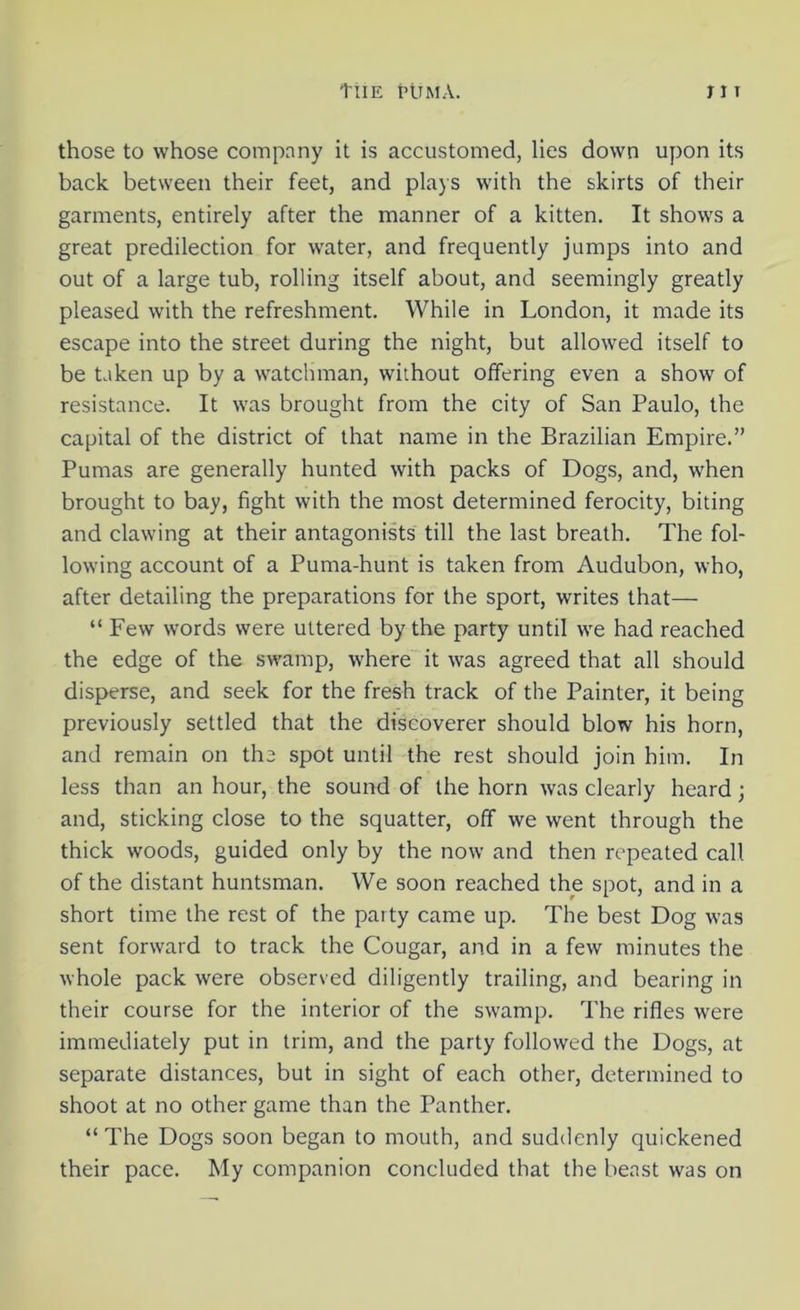 those to whose company it is accustomed, lies down upon its back between their feet, and plays with the skirts of their garments, entirely after the manner of a kitten. It shows a great predilection for water, and frequently jumps into and out of a large tub, rolling itself about, and seemingly greatly pleased with the refreshment. While in London, it made its escape into the street during the night, but allowed itself to be taken up by a watchman, without offering even a show of resistance. It was brought from the city of San Paulo, the capital of the district of that name in the Brazilian Empire.” Pumas are generally hunted with packs of Dogs, and, when brought to bay, fight with the most determined ferocity, biting and clawing at their antagonists till the last breath. The fol- lowing account of a Puma-hunt is taken from Audubon, who, after detailing the preparations for the sport, writes that— “ Few words were uttered by the party until we had reached the edge of the swamp, where it was agreed that all should disperse, and seek for the fresh track of the Painter, it being previously settled that the discoverer should blow his horn, and remain on the spot until the rest should join him. In less than an hour, the sound of the horn was clearly heard; and, sticking close to the squatter, off we went through the thick woods, guided only by the now and then repeated call of the distant huntsman. We soon reached the spot, and in a short time the rest of the party came up. The best Dog was sent forward to track the Cougar, and in a few minutes the whole pack were observed diligently trailing, and bearing in their course for the interior of the swamp. The rifles were immediately put in trim, and the party followed the Dogs, at separate distances, but in sight of each other, determined to shoot at no other game than the Panther. “ The Dogs soon began to mouth, and suddenly quickened their pace. My companion concluded that the beast was on