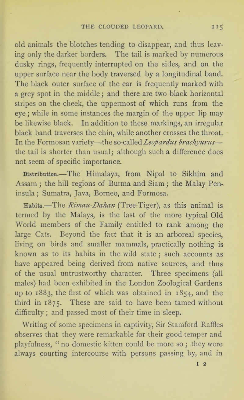 old animals the blotches tending to disappear, and thus leav- ing only the darker borders. The tail is marked by numerous dusky rings, frequently interrupted on the sides, and on the upper surface near the body traversed by a longitudinal band. The black outer surface of the ear is frequently marked with a grey spot in the middle; and there are two black horizontal stripes on the cheek, the uppermost of which runs from the eye; while in some instances the margin of the upper lip may be likewise black. In addition to these markings, an irregular black band traverses the chin, while another crosses the throat. In the Formosan variety—the so-calledLeopardus brachyurus— the tail is shorter than usual; although such a difference does not seem of specific importance. Distribution.—The Himalaya, from Nipal to Sikhim and Assam; the hill regions of Burma and Siam; the Malay Pen- insula; Sumatra, Java, Borneo, and Formosa. Habits.—The Rimau-Dahan (Tree-Tiger), as this animal is termed by the Malays, is the last of the more typical Old World members of the Family entitled to rank among the large Cats. Beyond the fact that it is an arboreal species, living on birds and smaller mammals, practically nothing is known as to its habits in the wild state ; such accounts as have appeared being derived from native sources, and thus of the usual untrustworthy character. Three specimens (all males) had been exhibited in the London Zoological Gardens up to 1883, the first of which was obtained in 1854, and the third in 1875. These are said to have been tamed without difficulty; and passed most of their time in sleep. Writing of some specimens in captivity, Sir Stamford Raffles observes that they were remarkable for their good-temper and playfulness, “ no domestic kitten could be more so ; they were always courting intercourse with persons passing by, and in