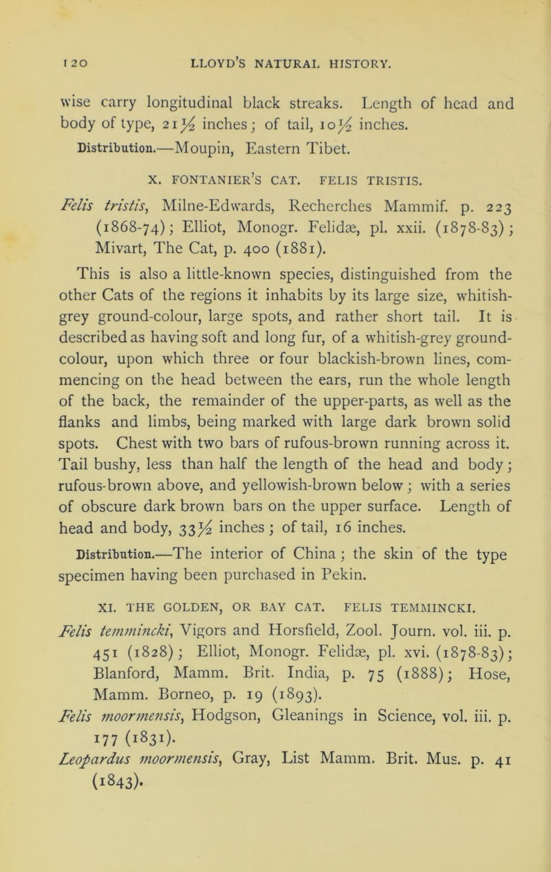 wise carry longitudinal black streaks. Length of head and body of type, inches; of tail, io}4 inches. Distribution.—Moupin, Eastern Tibet. x. fontanier’s cat. felis tristis. Felis tristis, Miln e-Ed wards, Recherches Mammif. p. 223 (1868-74); Elliot, Monogr. Felidae, pi. xxii. (1878-83); Mivart, The Cat, p. 400 (1881). This is also a little-known species, distinguished from the other Cats of the regions it inhabits by its large size, whitish- grey ground-colour, large spots, and rather short tail. It is described as having soft and long fur, of a whitish-grey ground- colour, upon which three or four blackish-brown lines, com- mencing on the head between the ears, run the whole length of the back, the remainder of the upper-parts, as well as the flanks and limbs, being marked with large dark brown solid spots. Chest with two bars of rufous-brown running across it. Tail bushy, less than half the length of the head and body; rufous-brown above, and yellowish-brown below; with a series of obscure dark brown bars on the upper surface. Length of head and body, 33^ inches ; of tail, 16 inches. Distribution.—The interior of China; the skin of the type specimen having been purchased in Pekin. XI. THE GOLDEN, OR BAY CAT. FELIS TEMMINCKI. Felis tenvniiicki. Vigors and Horsfield, Zool. Journ. vol. iii. p. 451 (1828); Elliot, Monogr. Felidae, pi. xvi. (1878-83); Blanford, Mamm. Brit. India, p. 75 (1888); Hose, Mamm. Borneo, p. 19 (1893). Felis moorme?isis, Hodgson, Gleanings in Science, vol. iii. p. 177 (1831). Leopardus moormensis, Gray, List Mamm. Brit. Mus. p. 41 (1843)-