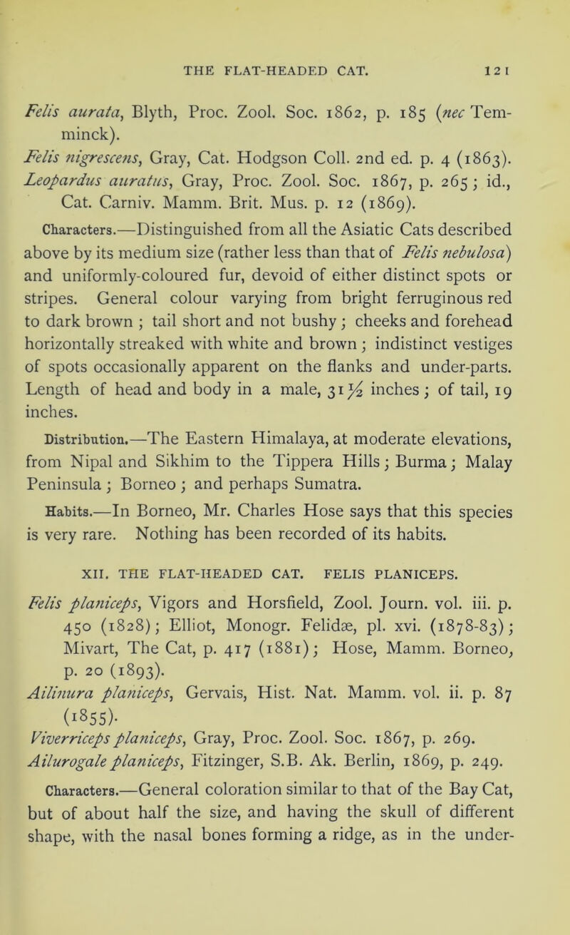 Felis aurata, Blyth, Proc. Zool. Soc. 1862, p. 185 (nec Tem- minck). Felis nigrescens, Gray, Cat. Hodgson Coll. 2nd ed. p. 4 (1863). Leopardus auratus, Gray, Proc. Zool. Soc. 1867, p. 265; id., Cat. Carniv. Mamm. Brit. Mus. p. 12 (1869). Characters.—Distinguished from all the Asiatic Cats described above by its medium size (rather less than that of Felis nebulosa) and uniformly-coloured fur, devoid of either distinct spots or stripes. General colour varying from bright ferruginous red to dark brown ; tail short and not bushy ; cheeks and forehead horizontally streaked with white and brown ; indistinct vestiges of spots occasionally apparent on the flanks and under-parts. Length of head and body in a male, 31^ inches; of tail, 19 inches. Distribution.—The Eastern Himalaya, at moderate elevations, from Nipal and Sikhim to the Tippera Hills; Burma; Malay Peninsula ; Borneo ; and perhaps Sumatra. Habits.—In Borneo, Mr. Charles Hose says that this species is very rare. Nothing has been recorded of its habits. XII. THE FLAT-HEADED CAT. FELIS PLANICEPS. Fells planiceps, Vigors and Horsfield, Zool. Journ. vol. iii. p. 450 (1828); Elliot, Monogr. Felidae, pi. xvi. (1878-83); Mivart, The Cat, p. 417 (1881); Hose, Mamm. Borneo, p. 20 (1893). Ailinura pla?iiceps, Gervais, Hist. Nat. Mamm. vol. ii. p. 87 (1855). Viverricepsplaniceps, Gray, Proc. Zool. Soc. 1867, p. 269. Ailurogaleplaniceps, Fitzinger, S.B. Ak. Berlin, 1869, p. 249. Characters.—General coloration similar to that of the Bay Cat, but of about half the size, and having the skull of different shape, with the nasal bones forming a ridge, as in the under-