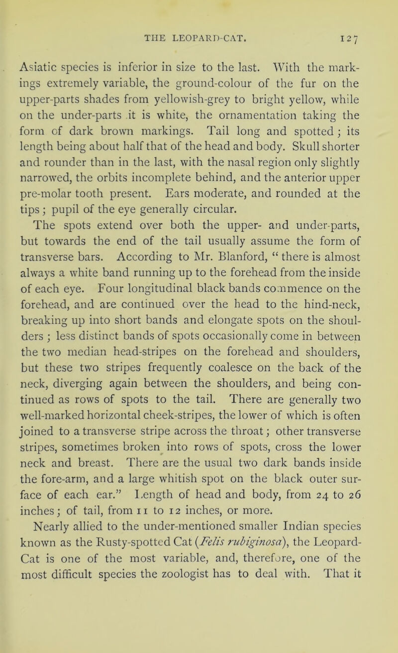 Asiatic species is inferior in size to the last. With the mark- ings extremely variable, the ground-colour of the fur on the upper-parts shades from yellowish-grey to bright yellow, while on the under-parts it is white, the ornamentation taking the form of dark brown markings. Tail long and spotted ; its length being about half that of the head and body. Skull shorter and rounder than in the last, with the nasal region only slightly narrowed, the orbits incomplete behind, and the anterior upper pre-molar tooth present. Ears moderate, and rounded at the tips ; pupil of the eye generally circular. The spots extend over both the upper- and under-parts, but towards the end of the tail usually assume the form of transverse bars. According to Mr. Blanford, “ there is almost always a white band running up to the forehead from the inside of each eye. Four longitudinal black bands commence on the forehead, and are continued over the head to the hind-neck, breaking up into short bands and elongate spots on the shoul- ders ; less distinct bands of spots occasionally come in between the two median head-stripes on the forehead and shoulders, but these two stripes frequently coalesce on the back of the neck, diverging again between the shoulders, and being con- tinued as rows of spots to the tail. There are generally two well-marked horizontal cheek-stripes, the lower of which is often joined to a transverse stripe across the throat; other transverse stripes, sometimes broken into rows of spots, cross the lower neck and breast. There are the usual two dark bands inside the fore-arm, and a large whitish spot on the black outer sur- face of each ear.” Length of head and body, from 24 to 26 inches; of tail, from n to 12 inches, or more. Nearly allied to the under-mentioned smaller Indian species known as the Rusty-spotted Cat (Felis rubiginosa), the Leopard- Cat is one of the most variable, and, therefore, one of the most difficult species the zoologist has to deal with. That it