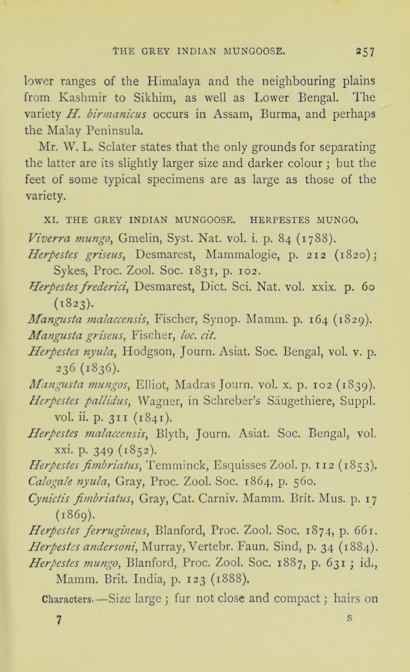 lower ranges of the Himalaya and the neighbouring plains from Kashmir to Sikhim, as well as Lower Bengal. The variety H birmanicus occurs in Assam, Burma, and perhaps the Malay Peninsula. Mr. W. L. Sclater states that the only grounds for separating the latter are its slightly larger size and darker colour; but the feet of some typical specimens are as large as those of the variety. XI. THE GREY INDIAN MUNGOOSE. HERPESTES MUNGO. Viverra tnutigo, Gmelin, Syst. Nat. vol. i. p. 84 (1788). Herpestes griseus, Desmarest, Mammalogie, p. 212 (1820); Sykes, Proc. Zool. Soc. 1831, p. 102. Herpestesfrederici, Desmarest, Diet. Sci. Nat. vol. xxix. p. 60 (1823). Mangusta malaccensis, Fischer, Synop. Mamm. p. 164 (1829). Man gust a griseus, Fischer, loc. cit. Herpestes nyula, Hodgson, Journ. Asiat. Soc. Bengal, vol. v. p. 236 (1836). Mangusta mungos, Elliot, Madras Journ. vol. x. p. 102 (1839). Herpestes pallidas, Wagner, in Schreber’s Saugethiere, Suppl. vol. ii. p. 311 (1841). Herpestes malaccensis, Blyth, Journ. Asiat. Soc. Bengal, vol. xxi. p. 349 (1852). Herpestes fimbriatus, Temminck, Esquisses Zool. p. 112 (1853). Calogale nyula, Gray, Proc. Zool. Soc. 1864, p. 560. Cynictis fimbriatus, Gray, Cat. Carniv. Mamm. Brit. Mus. p. 17 (1869). Herpestes ferrugineus, Blanford, Proc. Zool. Soc. 1874, p. 661. Herpestes andersoni, Murray, Vertebr. Faun. Sind, p. 34 (1884). Herpestes mango, Blanford, Proc. Zool. Soc. 1887, p. 631 ; id., Mamm. Brit. India, p. 123 (1888). Characters.—Size large ; fur not close and compact; hairs on 7 s