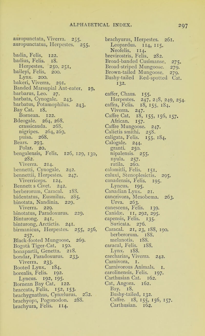 auropunctata, Viverra. 255. auropunctatus, Herpestes. 255. badia, Felis. 122. badius, Felis. 18. Herpestes. 250, 251. baileyi, Felis. 200. Lynx. 200. bakeri, Viverra. 291. Banded Marsupial Ant-eater. 19. barbarus, Leo. 27. barbata, Cynogale. 243. barbatus, Potamophilus. 243. Bay Cat. 18. Bornean. 122. Bdeogale. 264, 268. crassicauda. 268. nigripes. 264,269. puisa. 268. Bears. 293. Polar. 20. bengalensis, Felis. 126, 129, 130, 282, Viverra. 214. bennetti, Cynogale. 242. bennettii, Herpestes. 247. Viverriceps. 124. Benneti s Civet. 242. berberorum, Caracal. 18S. bidentatus, Eusmilus. 285. binotata, Nandinia. 229. Viverra. 229. binotatus, Paradoxurus. 229. Binturong. 241. binturong, Arctictis. 241. birmanicus, Herpestes. 255, 256, 257. Black-footed Mungoose. 269. Bogota Tiger-Cat. 150. bonapartii, Genetta. 218. bondar, Paradoxurus. 233. Viverra. 233. Booted Lynx. 184. borealis, Felis. 192. Lyncus. 192, 195* Bornean Bay Cat. 122. braccata, Felis. 152, 153. brachygnathus, Cynoelurus. 2C2. brachyops, Pogonodon. 2SS. brachyura, Felis. 114. brachyurus, Herpestes. 261. Leopardus. 114, 115. Neofelis. 114. brevirostris, Felis. 2S2. Broad-banded Cusimanse. 275. Broad-striped Mungoose. 279. Brown-tailed Mungoose. 279. Bushy-tailed Red-spotted Cat. 132. caffer, Chaus. 155. Herpestes. 247, 218, 249, 254. caffra, Felis. 18, 155, 184. Viverra. 247. Caffre Cat. 18, 155, 156, 157. African. 157. Caffre Mungoose. 247. Calictis smithi. 258. caligata, Felis. 155, 184. Calogale. 244. granti. 250. nipalensis. 255. nyula. 257. rutila. 260. calomitli, Felis. 151. caluxi, Stenoplesictis. 295. canadensis, Felis. 195. Lyncus. 195. Canadian Lynx. 21. cancrivora, Mesobema. 263. Urva. 263. canescens, Felis. 139. Canidse. 11, 292, 295. capensis, Felis. 135. Suricata. 276. Caracal. 21, 23, 188, 190. berberorum. 188. melanotis. 188. caracal, Felis. 188. Lynx. 188. carcharias, Viverra. 242. Carnivora. 1. Carnivorous Animals. 1. carolinensis, Felis. 197. Carthusian Cat. 162. Cat, Angora. 162. Bay. 18. Bushy-tailed, 132. Caffre. 18, 155, 156, 157. Carthusian. 163.