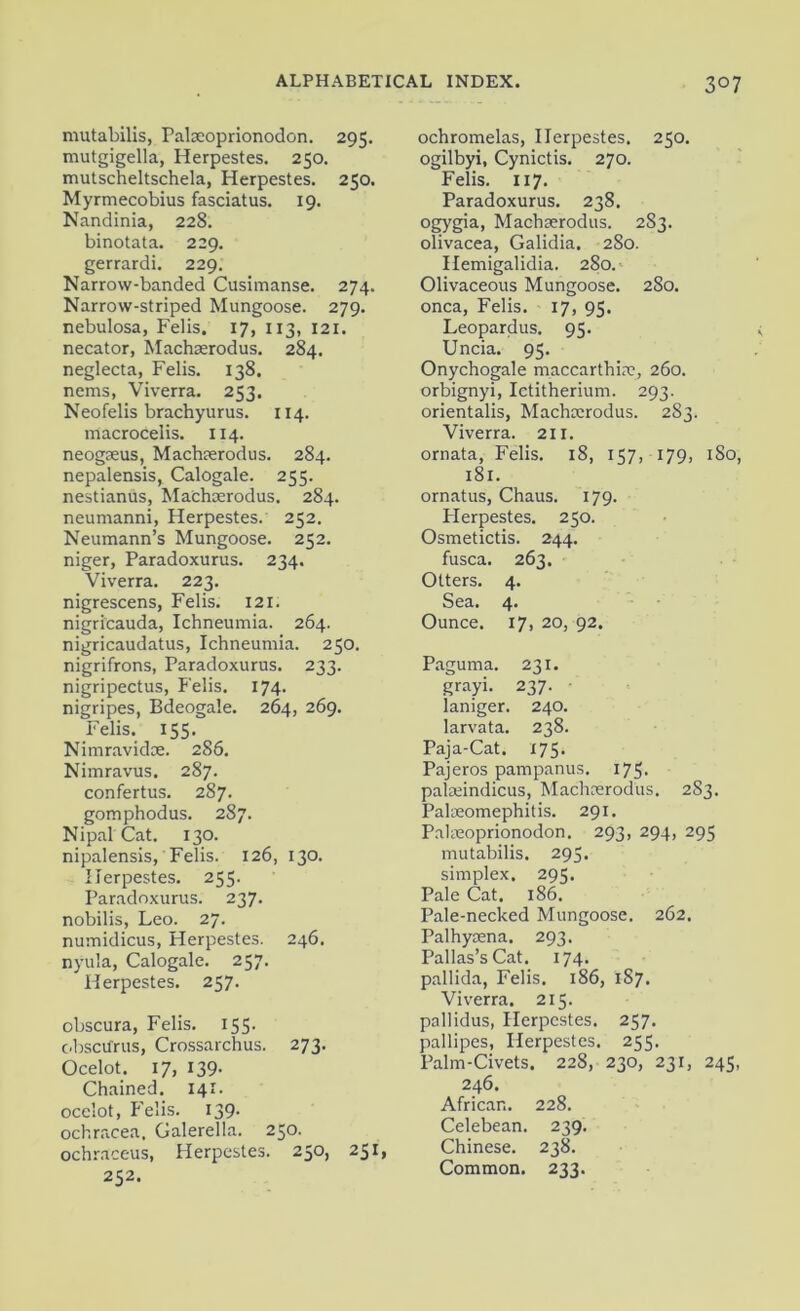 mutabilis, Palseoprionodon. 295. mutgigella, Herpestes. 250. mutscheltschela, Herpestes. 250. Myrmecobius fasciatus. 19. Nandinia, 228. binotata. 229. gerrardi. 229. Narrow-banded Cusimanse. 274. Narrow-striped Mungoose. 279. nebulosa, Felis, 17, 113, 121. necator, Machaerodus. 284. neglecta, Felis. 138. nems, Viverra. 253. Neofelis brachyurus. 114. macrocelis. 114. neogseus, Machaerodus. 284. nepalensis, Calogale. 255. nestianus, Machaerodus. 284. neumanni, Herpestes. 252. Neumann’s Mungoose. 252. niger, Paradoxurus. 234. Viverra. 223. nigrescens, Felis. 121. nigricauda, Ichneumia. 264. nigricaudatus, Ichneumia. 250. nigrifrons, Paradoxurus. 233. nigripectus, Felis. 174. nigripes, Bdeogale. 264, 269. Felis. 155. Nimravidae. 286. Nimravus. 287. confertus. 287. gomphodus. 287. Nipal Cat. 130. nipalensis, Felis. 126, 130. Herpestes. 255. Paradoxurus. 237. nobilis, Leo. 27. numidicus, Herpestes. 246. nyula, Calogale. 257. Herpestes. 257. obscura, Felis. 155- obsctfrus, Crossarchus. 273. Ocelot. 17, 139- Chained. 141. ocelot, Felis. 139. ochracea. Galerella. 250. ochraceus, Herpestes. 250, 251, 252. ochromelas, Herpestes, 250. ogilbyi, Cynictis. 270. Felis. 117. Paradoxurus. 238. ogygia, Machaerodus. 283. olivacea, Galidia. 280. Hemigalidia. 280. Olivaceous Mungoose. 280. onca, Felis. 17, 95. Leopardus. 95. Uncia. 95. Onychogale maccarthiac, 260. orbignyi, Ictitherium. 293. orientalis, Machaerodus. 283. Viverra. 211. ornata, Felis. 18, 157, 179, 180, 181. ornatus, Chaus. 179. Flerpestes. 250. Osmetictis. 244. fusca. 263. Otters. 4. Sea. 4. Ounce. 17, 20, 92. Paguma. 231. grayi. 237. • laniger. 240. larvata. 238. Paja-Cat. 175. Pajeros pampanus. 175. palseindicus, Machaerodus. 2S3. Palaeomephitis. 291. Paheoprionodon. 293, 294, 295 mutabilis. 295. simplex. 295. Pale Cat. 186. Pale-necked Mungoose. 262. Palhyaena. 293. Pallas’s Cat. 174. pallida, Felis. 186, 1S7. Viverra. 215. pallidus, Herpestes. 257. pallipes, Herpestes. 255. Palm-Civets. 228, 230, 231, 245, 246. African. 228. Celebean. 239. Chinese. 238. Common. 233.