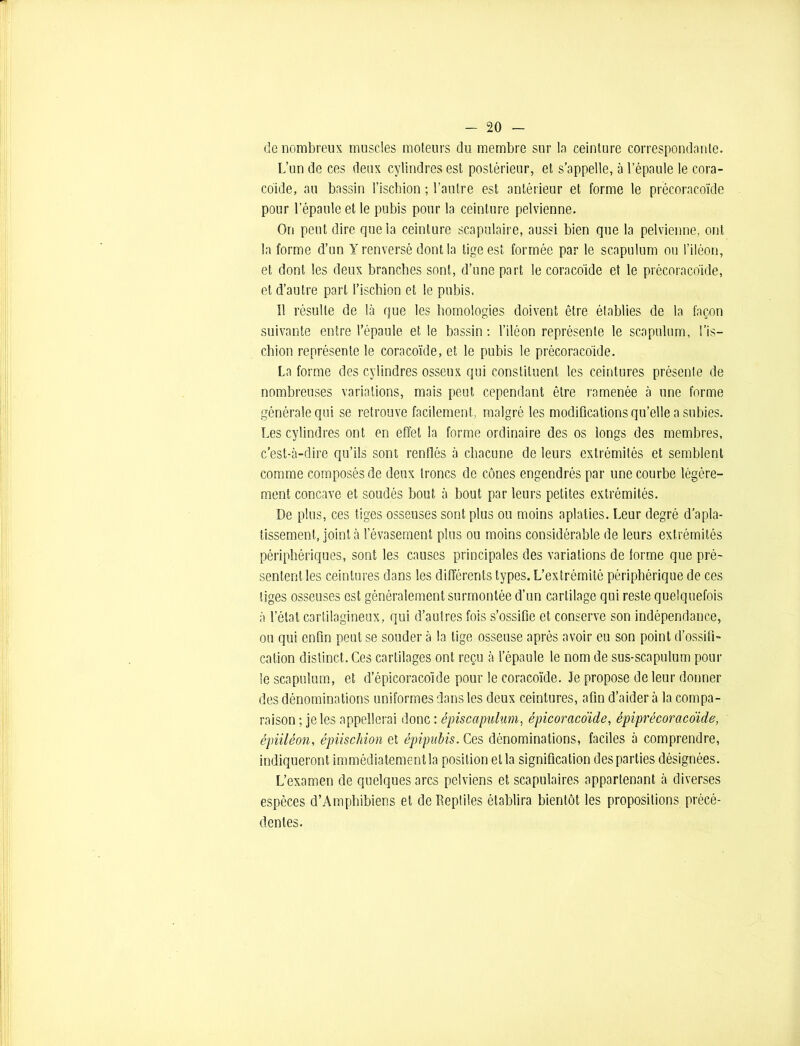 de nombreux muscles moteurs du membre sur la ceinture correspondante. L’un de ces deux cylindres est postérieur, et s’appelle, à l’épaule le cora- coïde, au bassin l’ischion ; l’autre est antérieur et forme le précoracoïde pour l’épaule et le pubis pour la ceinture pelvienne. On peut dire que la ceinture scapulaire, aussi bien que la pelvienne, ont la forme d’un Y renversé dont la tige est formée par le scapulum ou l’iléon, et dont les deux branches sont, d’une part le coracoïde et le précoracoïde, et d’autre part l’ischion et le pubis. 11 résulte de là que les homologies doivent être établies de la façon suivante entre l’épaule et le bassin: l’iléon représente le scapulum, l’is- chion représente le coracoïde, et le pubis le précoracoïde. La forme des cylindres osseux qui constituent les ceintures présente de nombreuses variations, mais peut cependant être ramenée à une forme générale qui se retrouve facilement, malgré les modifications qu’elle a subies. Les cylindres ont en effet la forme ordinaire des os longs des membres, c’est-à-dire qu’ils sont renflés à chacune de leurs extrémités et semblent comme composés de deux troncs de cônes engendrés par une courbe légère- ment concave et soudés bout à bout par leurs petites extrémités. De plus, ces tiges osseuses sont plus ou moins aplaties. Leur degré d’apla- tissement, joint à l’évasement plus ou moins considérable de leurs extrémités périphériques, sont les causes principales des variations de forme que pré- sentent les ceintures dans les différents types. L’extrémité périphérique de ces tiges osseuses est généralement surmontée d’un cartilage qui reste quelquefois à l’état cartilagineux, qui d’autres fois s’ossifie et conserve son indépendance, ou qui enfin peut se souder à la tige osseuse après avoir en son point d’ossifi- cation distinct. Ces cartilages ont reçu à l’épaule le nom de sus-scapulum poul- ie scapulum, et d’épicoracoïde pour le coracoïde. Je propose de leur donner des dénominations uniformes dans les deux ceintures, afin d’aider à la compa- raison ; je les appellerai donc : épiscapulum, épicoracoïde, épiprécoracoïde, épiiléon, épiischion et épipubis. Ces dénominations, faciles à comprendre, indiqueront immédiatement la position et la signification des parties désignées. L’examen de quelques arcs pelviens et scapulaires appartenant à diverses espèces d’Amphibiens et de Reptiles établira bientôt les propositions précé- dentes.