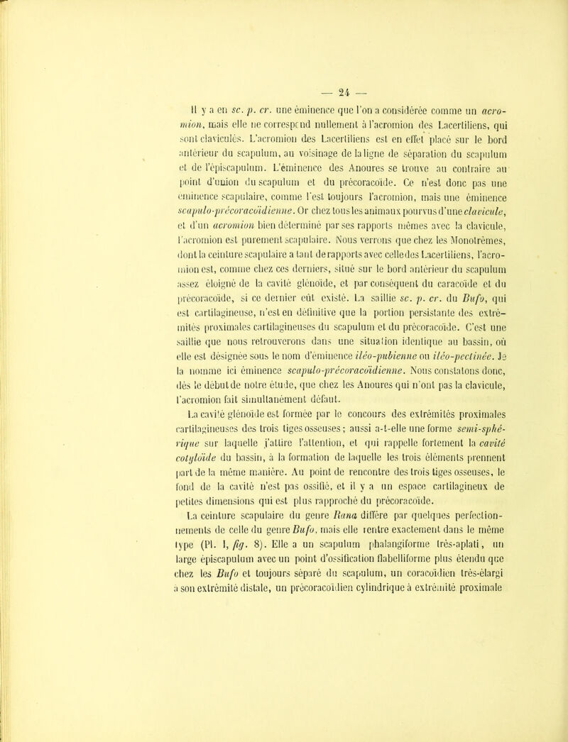 Il y a en sc. p. cr. une éminence que l’on a considérée comme un acro- mion, mais elle necorrespcnd nullement à l’acromion des Lacertiliens, qui sont clavicules. L’acromion des Lacertiliens est en effet placé sur le bord antérieur du scapulum.au voisinage de la ligne de séparation du scapulum et de l’épiscapulum. L’éminence des Anoures se trouve au contraire au point d’union du scapulum et du précoracoïde. Ce n’est donc pas une éminence scapulaire, comme l'est toujours l’acromion, mais une éminence scapulo-précoracoïdienne. Or chez tous les animaux pourvus d’une clavicule, et d’un acromion bien déterminé par ses rapports mêmes avec la clavicule, l’acromion est purement scapulaire. Nous verrons que chez les Monolrèmes, dont la ceinture scapulaire a tant de rapports avec celledes Lacertiliens, l’acro- mionest, comme chez ces derniers, situé sur le bord antérieur du scapulum assez éloigné de la cavité gïéno'ide, et par conséquent du caracoïde et du précoracoïde, si ce dernier eût existé. La saillie sc. p. cr. du Bufo, qui est cartilagineuse, n’est en définitive que la portion persistante des extré- mités proximales cartilagineuses du scapulum et du précoracoïde. C’est une saillie que nous retrouverons dans une situation identique au bassin, où elle est désignée sous le nom d’éminence iléo-pubienne ou iléo-pectinèe. Je la nomme ici éminence scapulo-précoracoïdienne. Nous constatons donc, dès le début de notre étude, que chez les Anoures qui n’ont pas la clavicule, l’acromion fait simultanément défaut. La cavité gïéno'ide est formée par le concours des extrémités proximales cartilagineuses des trois liges osseuses; aussi a-t-elle une forme semi-sphé- rique sur laquelle j’attire l’attention, et qui rappelle fortement la cavité colyloïde du bassin, à la formation de laquelle les trois éléments prennent part de la même manière. Au point de rencontre des trois tiges osseuses, le fond de la cavité n’est pas ossifié, et il y a un espace cartilagineux de petites dimensions qui est plus rapproché du précoracoïde. La ceinture scapulaire du genre Rana diffère par quelques perfection- nements de celle du genre Bufo, mais elle rentre exactement dans le même type (PI. 1, fig. 8). Elle a un scapulum phalangiforme trôs-aplati, un large épiscapulum avec un point d’ossification flabelliforme plus étendu que chez les Bufo et toujours séparé du scapulum, un coracoïdien très-élargi a son extrémité distale, un précoracoïdien cylindrique à extrémité proximale