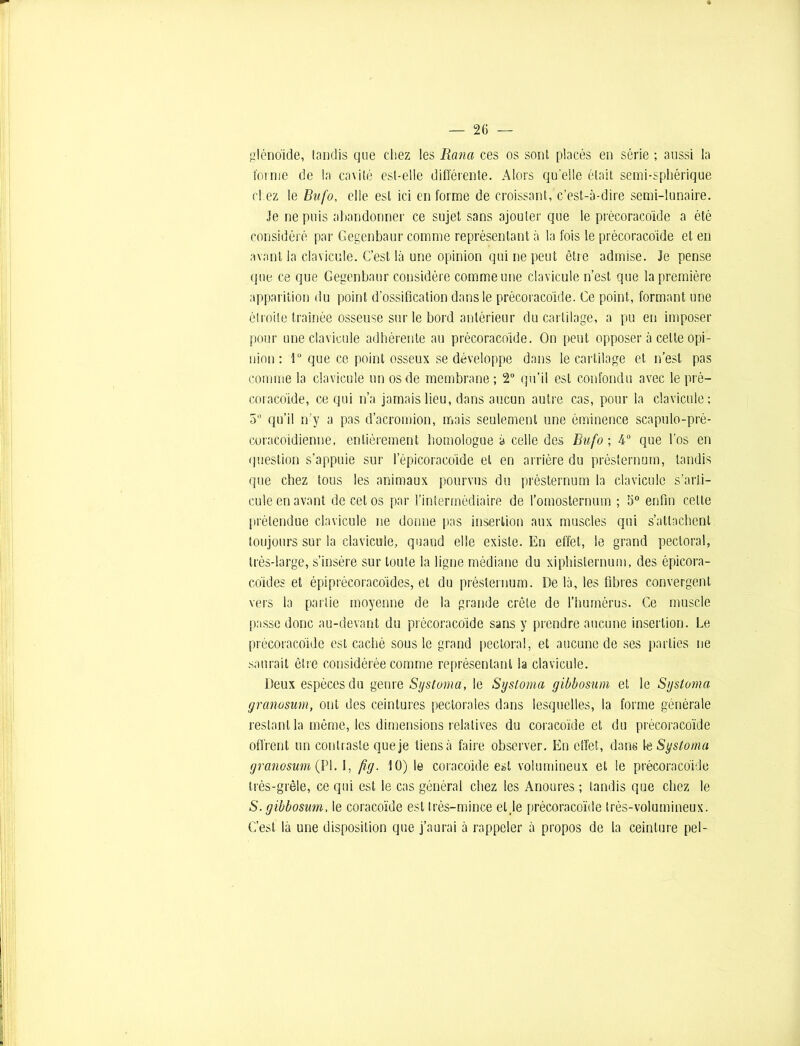 glénoïde, tandis que chez les Ranci ces os sont placés en série ; aussi la forme de la cavité est-elle différente. Alors quelle était semi-sphérique cl ez le Bufo, elle est ici en forme de croissant, c’est-à-dire semi-lunaire. Je ne puis abandonner ce sujet sans ajouter que le prècoracoide a été considéré par Gegenbaur comme représentant à la fois le prècoracoide et en avant la clavicule. C’est là une opinion qui ne peut être admise. Je pense que ce que Gegenbaur considère comme une clavicule n’est que la première apparition du point d’ossification dans le prècoracoide. Ce point, formant une étroite traînée osseuse sur le bord antérieur du cartilage, a pu en imposer pour une clavicule adhérente au prècoracoide. On peut opposer à celte opi- nion : 1° que ce point osseux se développe dans le cartilage et n’est pas comme la clavicule un os de membrane ; 2° qu’il est confondu avec le pré— coracoïde, ce qui n’a jamais lieu, dans aucun autre cas, pour la clavicule; 5° qu’il n’y a pas d’acromion, mais seulement une éminence scapulo-pré- coracoidienne, entièrement homologue à celle des Bufo ; 4° que l’os en question s’appuie sur l’épicoracoide et en arrière du présternum, tandis que chez tous les animaux pourvus du présternum la clavicule s’arti- cule en avant de cet os par l’intermédiaire de l’omosternum ; 5° enfin celte prétendue clavicule ne donne pas insertion aux muscles qui s’attachent toujours sur la clavicule, quand elle existe. En effet, le grand pectoral, très-large, s’insère sur toute la ligne médiane du xiphislernum, des épicora- co'ides et épi précoracoïdes, et du préslernum. De là, les fibres convergent vers la partie moyenne de la grande crête de l’humérus. Ce muscle passe donc au-devant du prècoracoide sans y prendre aucune insertion. Le prècoracoide est caché sous le grand pectoral, et aucune de ses parties ne saurait être considérée comme représentant la clavicule. Deux espèces du genre Systoma, le Sysloma gibbosum et le Syslonm granosum, ont des ceintures pectorales dans lesquelles, la forme générale restant la même, les dimensions relatives du coracoïde et du précoracoïde offrent un contraste que je tiens à faire observer. En effet, dans 1$ Systoma granosum (PL 1, fig. 10) le coracoïde est volumineux et le prècoracoide très-grêle, ce qui est le cas général chez les Anoures ; tandis que chez le S. gibbosum, le coracoïde est très-mince et,1e précoracoïde très-volumineux. C’est la une disposition que j’aurai à rappeler à propos de la ceinture pel-