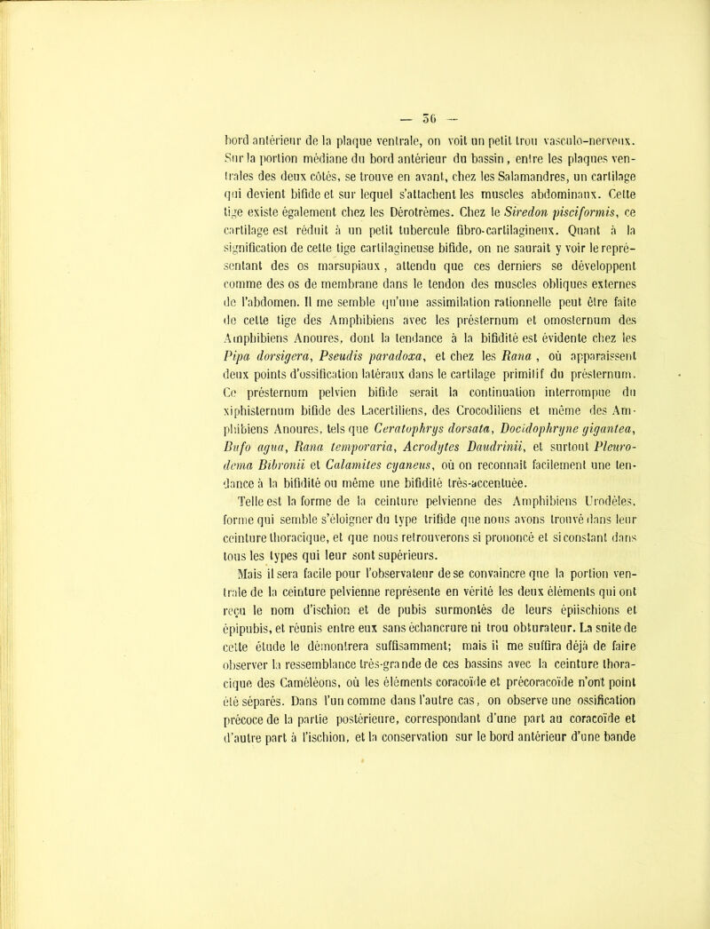 bord antérieur de la plaque ventrale, on voit un petit trou vasculo-nerveux. Sur la portion médiane du bord antérieur du bassin , entre les plaques ven- trales des deux côtés, se trouve en avant, chez les Salamandres, un cartilage qui devient bifide et sur lequel s’attachent les muscles abdominaux. Cette tige existe également chez les Dérotrèmes. Chez le Siredon pisciformis, ce cartilage est réduit à un petit tubercule fibro-cartilagineux. Quant à la signification de cette tige cartilagineuse bifide, on ne saurait y voir le repré- sentant des os marsupiaux , attendu que ces derniers se développent comme des os de membrane dans le tendon des muscles obliques externes de l’abdomen. Il me semble qu’une assimilation rationnelle peut être faite de celte tige des Ampbibiens avec les présternum et omosternum des Ampbibiens Anoures, dont la tendance à la bifidité est évidente chez les Pipa dorsigera, Pseudis paradoxa, et chez les Rana , où apparaissent deux points d’ossification latéraux dans le cartilage primitif du présternum. Ce présternum pelvien bifide serait la continuation interrompue du xiphisternum bifide des Lacertiliens, des Crocodiliens et même des Am- pbibiens Anoures, tels que Ceratuphrys dorsata, Docidophryne gigantea, Bitfo agua, Rana temporaria, Acrodytes Daudrinii, et surtout Pleuro- dcma Bibronii et Calamites cyaneus, où on reconnaît facilement une ten- dance à la bifidité ou même une bifidité très-accentuée. Telle est la forme de la ceinture pelvienne des Ampbibiens Urodèles, forme qui semble s’éloigner du type bifide que nous avons trouvé dans leur ceinture thoracique, et que nous retrouverons si prononcé et si constant dans tous les types qui leur sont supérieurs. Mais Usera facile pour l’observateur de se convaincre que la portion ven- trale de la ceinture pelvienne représente en vérité les deux éléments qui ont reçu le nom d’ischion et de pubis surmontés de leurs épiischions et épipubis, et réunis entre eux sans échancrure ni trou obturateur. La suite de cette étude le démontrera suffisamment; mais il me suffira déjà de faire observer la ressemblance très-grande de ces bassins avec la ceinture thora- cique des Caméléons, où les éléments coracoïde et précoracoïde n’ont point été séparés. Dans l’un comme dans l’autre cas, on observe une ossification précoce de la partie postérieure, correspondant d’une part au coracoïde et d’autre part à l’ischion, et la conservation sur le bord antérieur d’une bande