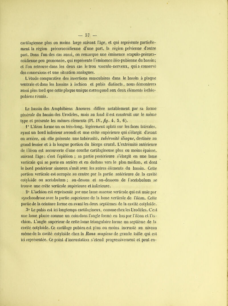 caililagienne plus on moins large suivant l’âge, et qui représenle partielle- ment la région précoracoïdienne d’une part, la région pelvienne d’autre part. Dans l’un des cas aussi, on remarque une éminence scapulo-précora- coïdienDe peu prononcée, qui représente l’éminence iléo-pubienne du bassin; et l’on retrouve dans les deux cas le trou vasculo-nerveux, qui a conservé des connexions et une situation analogues. L’étude comparative des insertions musculaires dans le bassin à plaque ventrale et dans les bassins à ischion et pubis distincts, nous démontrera aussi plus lard que cette plaque unique correspond aux deux éléments iscbio- pubiens réunis. Le bassin des Amphibiens Anoures diffère notablement par sa forme générale du bassin des Urodèles, mais au fond il est construit sur le même type et présente les mêmes éléments (PL 1Y, fig. 4, 5, 6). \° L’iléon forme un os très-long, légèrement aplati sur les faces latérales, ayant un bord inférieur arrondi et une crête supérieure qui s’élargit d’avant en arrière, où elle présente une tubérosité, tubérosité iliaque, destinée au grand fessier et à la longue portion du biceps crural. L’extrémité antérieure de l’iléon est recouverte d’une couche cartilagineuse plus ou moins épaisse, suivant l’âge : c’est l’épidéon ; sa partie postérieure s’élargit en une lame verticale qui se porte en arrière et en dedans vers le plan médian, et dont le bord postérieur sinueux s’unit avec les autres éléments du bassin. Cette portion verticale est occupée au centre par la partie antérieure de la cavité coiyloïde ou acetabulum ; au-dessus et au-dessous de l’acelabulum se trouve une crête verticale supérieure et inférieure. 2° L’ischion est représenté par une lame osseuse verticale qui est unie par synchondroseavec la partie supérieure de la lame verticale de l’iléon. Celte partie de la ceinture forme en avant les deux septièmes de la cavité coiyloïde. 3° Le pubis est ici longtemps cartilagineux, comme chez les Urodèles. C’est une lame placée comme un coin dans l’angle formé en bas par l’iléon et l’is- chion. L’angle supérieur de cette lame triangulaire forme un septième de la cavité cotyloïde. Ce cartilage pubien est plus ou moins incrusté au niveau même de la cavité cotyloïde chez la Rana mugiens de grande taille qui est ici représentée. Ce point d’incrustation s’étend progressivement et peut en-