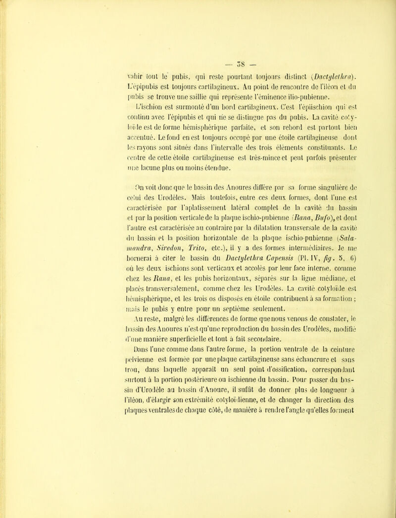 vahir tout le pubis, qui reste pourtant toujours distinct (Dactylet/ira). L’épipubis est toujours cartilagineux. Au point de rencontre de l’iléon et du pubis se trouve une saillie qui représente l’éminence ilio-pubienne. L’ischion est surmonté d'un bord cartilagineux. C’est l’épiischion qui est continu avec l’épipubis et qui rie se distingue pas du pubis. La cavité coty- loïde est de forme hémisphérique parfaite, et son rebord est partout bien accentué. Le fond en est toujours occupé par une étoile cartilagineuse dont les rayons sont situés dans l’intervalle des trois éléments constituants. Le centre de cette étoile cartilagineuse est très-mince et peut parfois présenter une lacune plus ou moins étendue. On voit donc que le bassin des Anoures diffère par sa forme singulière de celui des Urodèles. Mais toutefois, entre ces deux formes, dont l’une est caractérisée par l’aplatissement latéral complet de la cavité du bassin et par la position verticale de la plaque ischio-pubienne [Rana, Bufo), et dont l’autre est caractérisée au contraire par la dilatation transversale de la cavité du bassin et la position horizontale de la plaque ischio-pubienne (Sala- mandra, Siredon, Trito, etc.), il y a des formes intermédiaires. Je me bornerai à citer le bassin du Daclylethra Capensis (PL IV, fig. 5, 6) où les deux ischions sont verticaux et accolés par leur face interne, comme chez les jRana, et les pubis horizontaux, séparés sur la ligne médiane, et placés transversalement, comme chez les Urodèles. La cavité cotyloïJe est hémisphérique, et les trois os disposés en étoile contribuent à sa formation ; mais le pubis y entre pour un septième seulement. Au reste, malgré les différences de forme que nous venons de constater, le bassin des Anoures n’est qu’une reproduction du bassin des Urodèles, modifié d’une manière superficielle et tout à fait secondaire. Dans l’une comme dans l’autre forme, la portion ventrale de la ceinture pelvienne est formée par une plaque cartilagineuse sans échancrure et sans trou, dans laquelle apparaît un seul point d’ossification, correspondant surtout à la portion postérieure ou ischienne du bassin. Pour passer du bas- sin d’Urodèle au bassin d’Anoure, il suffit de donner plus de longueur à l’iléon, d’élargir son extrémité colyloïdienne, et de changer la direction des plaques ventralesde chaque côté, de manière à rendre l’angle qu’elles forment
