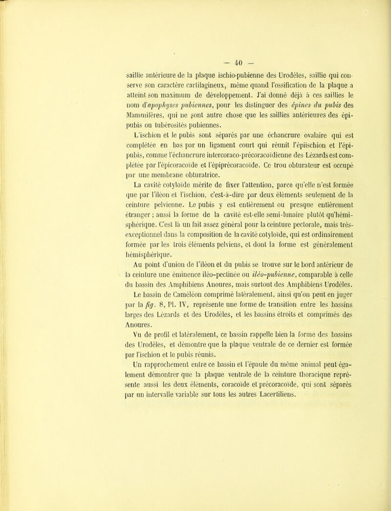 saillie antérieure de la plaque ischio-pubienne des Urodèles, saillie qui con- serve son caractère cartilagineux, même quand l’ossification de la plaque a atteint, son maximum de développement. J’ai donné déjà à ces saillies le nom d'apophyses pubiennes, pour les distinguer des épines du pubis des Mammifères, qui ne gont autre chose que les saillies antérieures des épi- pubis ou tubérosités pubiennes. L’ischion et le pubis sont séparés par une échancrure ovalaire qui est complétée en bas par un ligament court qui réunit l’épiischion et répi- pubis, comme l’échancrure intercoraco-précoracoïdienne des Lézards est com- plétée par l’épicoracoïde et lepiprécoracoïde. Ce trou obturateur est occupé par une membrane obturatrice. La cavité colyloïde mérite de fixer l’attention, parce quelle n’est formée que par l’iléon et l’ischion, c’est-à-dire par deux éléments seulement de la ceinture pelvienne. Le pubis y est entièrement ou presque entièrement étranger ; aussi la forme de la cavité est-elle semi-lunaire plutôt qu’hémi- sphérique. C’est là un fait assez général pour la ceinture pectorale, mais très- exceptionnel dans la composition de la cavité cotyloïde, qui est ordinairement formée par les trois éléments pelviens, et dont la forme est généralement hémisphérique. Au point d’union de l’iléon et du pubis se trouve sur le bord antérieur de la ceinture une éminence iléo-pectinée ou üèo-pubienne, comparable à celle du bassin des Amphibiens Anoures, mais surtout des Amphibiens Urodèles. Le bassin de Caméléon comprimé latéralement, ainsi qu’on peut en juger par la fig. 8, PI. IV, représente une forme de transition entre les bassins larges des Lézards et des Urodèles, et les bassins étroits et comprimés des Anoures. Vu de profil et latéralement, ce bassin rappelle bien la forme des bassins des Urodèles, et démontre que la plaque ventrale de ce dernier est formée par l’ischion et le pubis réunis. Un rapprochement entre ce bassin et l’épaule du même animal peut éga- lement démontrer que la plaque ventrale de la ceinture thoracique repré- sente aussi les deux éléments, coracoïde et précoracoïde, qui sont séparés par un intervalle variable sur tous les autres Lacertiliens.