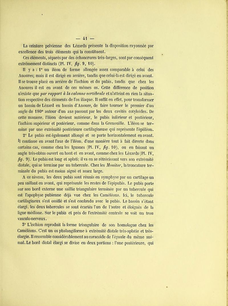 La ceinture pelvienne des Lézards présente la disposition rayonnée par excellence des trois éléments qui la constituent. Ces éléments, séparés par des échancrures très-larges, sont par conséquent extrêmement distincts (PL 1Y, fig. 9, 10). Il y a : 1° un iléon de forme allongée assez comparable à celui des Anoures; mais il est dirigé en arrière, tandis que celui-là est dirigé en avant. Use trouve placé en arrière de l’ischion et du pubis, tandis que chez les Anoures il est en avant de ces mêmes os. Cette différence de position n’existe que par rapport à la colonne vertébrale et n’atteint en rien la situa- tion respective des éléments de l’os iliaque. Il suffit en effet, pour transformer un bassin de Lézard en bassin d’Anoure, de faire tourner le premier d’un angle de 180° autour d’un axe passant par les deux cavités cotyloïdes. De cette maniéré, l’iléon devient antérieur, le pubis inférieur et postérieur, l’ischion supérieur et postérieur, comme dans la Grenouille. L’iléon se ter- mine par une extrémité postérieure cartilagineuse qui représente l’épiiléon. 2° Le pubis est également allongé et se porte horizontalement en avant, fi continue en avant l’axe de l’iléon, d’une manière tout à fait directe dans certains cas, comme chez les Iguanes (PL IY, fig. 10), ou en faisant un angle très-obtus ouvert en haut et en avant, comme chez les Lézards (PL IV, fig. 9). Le pubis est long et aplati; il va en se rétrécissant vers son extrémité distale, qui se termine par un tubercule. Chez les Monitor, la troncature ter- minale du pubis est moins aiguë et assez large. A ce niveau, les deux pubis sont réunis en symphyse par un cartilage un peu saillant en avant, qui représente les restes de l’épipubis. Le pubis porte sur son bord externe une saillie triangulaire terminée par un tubercule qui est l’apophyse pubienne déjà vue chez les Caméléons. Ici, le tubercule cartilagineux s’est ossifié et s’est confondu avec le pubis. Le bassin s’étant élargi, les deux tubercules se sont écartés l’un de l’autre et éloignés de la ligne médiane. Sur le pubis et près de l’extrémité centrale se voit un trou vasculo-nerveux. 3° L’ischion reproduit la forme triangulaire de son homologue chez les Caméléons. C’est un os phalangiforme à extrémité distale très-aplatie et très- élargie. Il ressemble considérablement au coracoïde de l’épaule du même ani- mal. Le bord distal élargi se divise en deux portions : l’une postérieure, qui