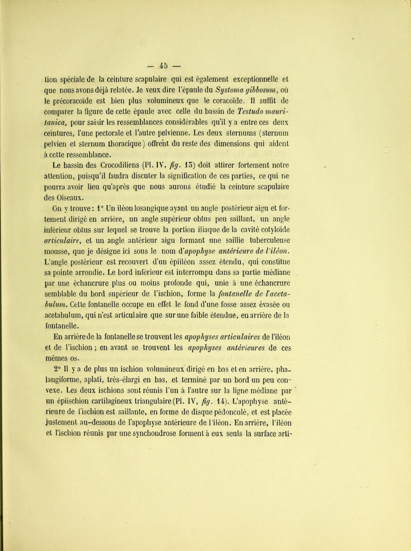 lion spéciale de la ceinture scapulaire qui est également exceptionnelle et que nous avons déjà relatée. Je veux dire l’épaule du Systoma yibbosum, où le précoracoïde est bien plus volumineux que le coracoïde. 11 suffit de comparer la figure de cette épaule avec celle du bassin de Testudo mauri- tanica, pour saisir les ressemblances considérables qu’il y a entre ces deux ceintures, l’une pectorale et l’autre pelvienne. Les deux sternums (sternum pelvien et sternum thoracique) offrent du reste des dimensions qui aident à cette ressemblance. Le bassin des Crocodiliens (PL IV, fig. 15) doit attirer fortement notre attention, puisqu’il faudra discuter la signification de ces parties, ce qui rie pourra avoir lieu qu’après que nous aurons étudié la ceinture scapulaire des Oiseaux. On y trouve: 1° Un iléonlosangique ayant un angle postérieur aigu et for- tement dirigé en arrière, un angle supérieur obtus peu saillant, un angle inférieur obtus sur lequel se trouve la portion iliaque de la cavité cotyloïde articulaire, et un angle antérieur aigu formant une saillie tuberculeuse mousse, que je désigne ici sous le nom d'apophyse antérieure de l’iléon. L’angle postérieur est recouvert d’un épiiléon assez étendu, qui constitue sa pointe arrondie. Le bord inférieur est interrompu dans sa partie médiane par une échancrure plus ou moins profonde qui, unie à une échancrure semblable du bord supérieur de l’iscliion, forme la fontanelle de l'aceta- bulum. Cette fontanelle occupe en effet le fond d’une fosse assez évasée ou acetabulum, qui n’est articulaire que sur une faible étendue, en arrière de la fontanelle. En arrière de la fontanelle se trouvent les apophyses articulaires de l’iléon et de l’ischion ; en avant se trouvent les apophyses antérieures de ces mêmes os. 2° Il y a de plus un ischion volumineux dirigé en bas et en arrière, pha- langiforme, aplati, très-élargi en bas, et terminé par un bord un peu con- vexe. Les deux ischions sont réunis l’un à l’autre sur la ligne médiane par un épiischion cartilagineux triangulaire (PI. IV, fig. 14). L’apophyse anté- rieure de l'ischion est saillante, en forme de disque pédonculé, et est placée justement au-dessous de l’apophyse antérieure de l’iléon. En arrière, l’iléon et l’ischion réunis par une synchondrose forment à eux seuls la surface arti-