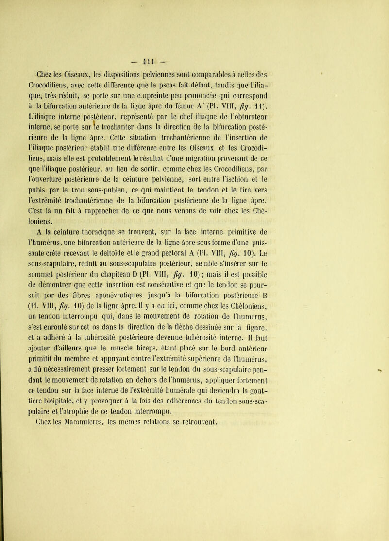 Chez les Oiseaux, les dispositions pelviennes sonl comparables à celles des Crocodiliens, avec celte différence que le psoas fait défaut, tandis que l’ilia- que, très réduit, se porte sur une empreinte peu prononcée qui correspond à la bifurcation antérieure de la ligne âpre du fémur A' (PI. VIII, fig. 11). L’iliaque interne postérieur, représenté par le chef iliaque de l’obturateur interne, se porte sur le trochanter dans la direction de la bifurcation posté- rieure de la ligne âpre. Cette situation trochantérienne de l’insertion de l’iliaque postérieur établit une différence entre les Oiseaux et les Crocodi- liens, mais elle est probablement le résultat d’une migration provenant de ce que l’iliaque postérieur, au lieu de sortir, comme chez les Crocodiliens, par l’ouverture postérieure de la ceinture pelvienne, sort entre l’ischion et le pubis par le trou sous-pubien, ce qui maintient le tendon et le tire vers l’extrémité trochantérienne de la bifurcation postérieure de la ligne âpre. C’est là un fait à rapprocher de ce que nous venons de voir chez les Ché- loniens. A la ceinture thoracique se trouvent, sur la face interne primitive de l’humérus, une bifurcation antérieure de la ligne âpre sous forme d’une puis- sante crête recevant le deltoïde elle grand pectoral A (PI. VIII, fig. 10). Le sous-scapulaire, réduit au sous-scapulaire postérieur, semble s’insérer sur le sommet postérieur du chapiteau D (PI. VIII, fig. 10); mais il est possible de démontrer que cette insertion est consécutive et que le tendon se pour- suit par des fibres aponévroliques jusqu’à la bifurcation postérieure B (PI. VIII, ftg. 10) de la ligne âpre. Il y a eu ici, comme chez les Chéloniens, un tendon interrompu qui, dans le mouvement de rotation de l’humérus, s’est enroulé sur cet os dans la direction de la flèche dessinée sur la figure, et a adhéré à la tubérosité postérieure devenue tubérosité interne. Il faut ajouter d’ailleurs que le muscle biceps, étant placé sur le bord antérieur primitif du membre et appuyant contre l’extrémité supérieure de l’humérus, a dû nécessairement presser fortement sur le tendon du sous-scapulaire pen- dant le mouvement de rotation en dehors de l’humérus, appliquer fortement ce tendon sur la face interne de l’extrémité humérale qui deviendra la gout- tière bicipitale, et y provoquer à la fois des adhérences du tendon sous-sca- pulaire et l’atrophie de ce tendon interrompu. Chez les Mammifères, les mêmes relations se retrouvent.