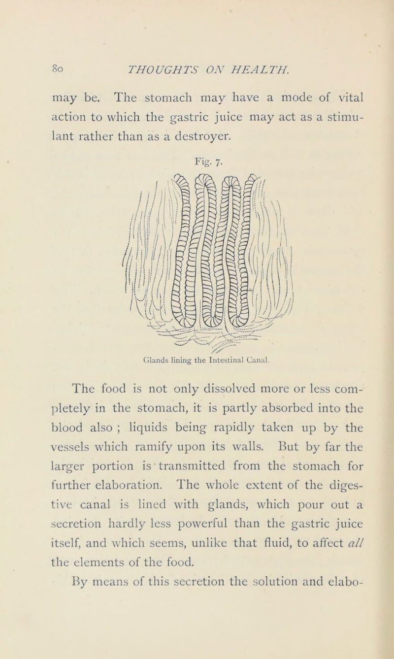 may be. The stomach may have a mode of vital action to which the gastric juice may act as a stimu- lant rather than as a destroyer. Fig. 7. The food is not only dissolved more or less com- pletely in the stomach, it is partly absorbed into the blood also ; liquids being rapidly taken up by the vessels which ramify upon its walls. But by far the larger portion is transmitted from the stomach for further elaboration. The whole extent of the diges- tive canal is lined with glands, which pour out a secretion hardly less powerful than the gastric juice itself, and which seems, unlike that fluid, to affect all the elements of the food. By means of this secretion the solution and elabo-