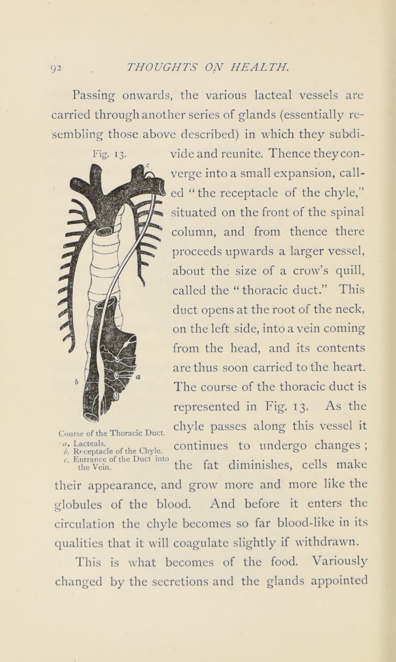 Passing onwards, the various lacteal vessels are carried through another series of glands (essentially re- sembling those above described) in which they subdi- Fig. 13. vide and reunite. Thence they con- verge into a small expansion, call- ed “the receptacle of the chyle,” situated on the front of the spinal column, and from thence there proceeds upwards a larger vessel, about the size of a crow’s quill, called the “thoracic duct.” This duct opens at the root of the neck, on the left side, into a vein coming from the head, and its contents are thus soon carried to the heart. The course of the thoracic duct is represented in I7ig. 13. As the „ , _ chyle passes along this vessel it Course of the Thoracic Duct. J 1 0 X Receptacle of .he chyle, continues to undergo changes; c. Entrance of the Duct into . r ..... .. i the vein. the fat diminishes, cells make their appearance, and grow more and more like the globules of the blood. And before it enters the circulation the chyle becomes so far blood-like in its qualities that it will coagulate slightly if withdrawn. This is what becomes of the food. Variously changed by the secretions and the glands appointed