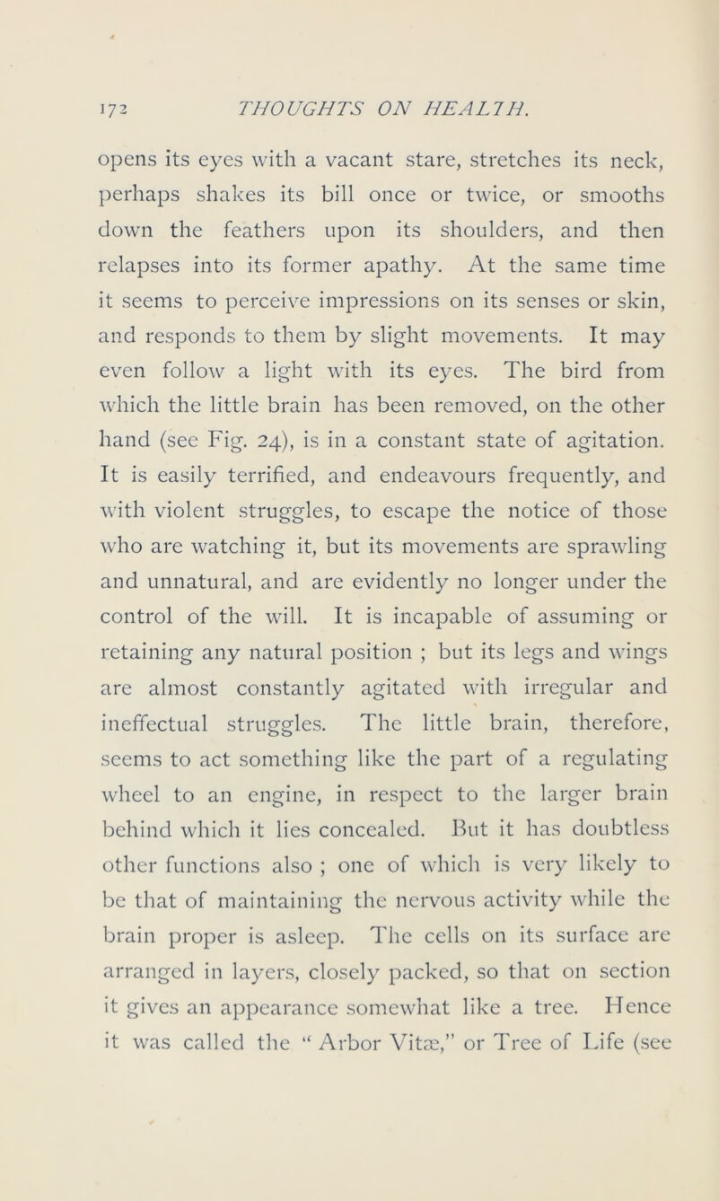 opens its eyes with a vacant stare, stretches its neck, perhaps shakes its bill once or twice, or smooths down the feathers upon its shoulders, and then relapses into its former apathy. At the same time it seems to perceive impressions on its senses or skin, and responds to them by slight movements. It may even follow a light with its eyes. The bird from which the little brain has been removed, on the other hand (see Fig. 24), is in a constant state of agitation. It is easily terrified, and endeavours frequently, and with violent struggles, to escape the notice of those who are watching it, but its movements are sprawling and unnatural, and are evidently no longer under the control of the will. It is incapable of assuming or retaining any natural position ; but its legs and wings are almost constantly agitated with irregular and ineffectual struggles. The little brain, therefore, seems to act something like the part of a regulating wheel to an engine, in respect to the larger brain behind which it lies concealed. But it has doubtless other functions also ; one of which is very likely to be that of maintaining the nervous activity while the brain proper is asleep. The cells on its surface are arranged in layers, closely packed, so that on section it gives an appearance somewhat like a tree. Hence it was called the “ Arbor Vitae,” or Tree of Life (see