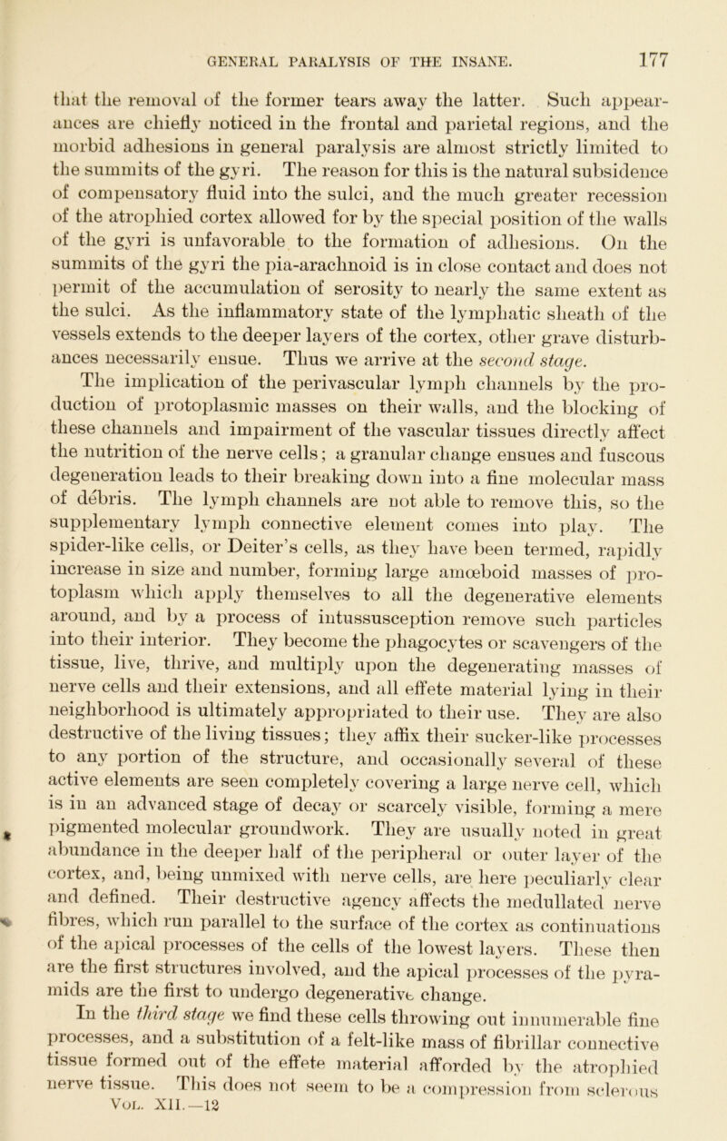 that the removal of the former tears away the latter. Such appear- ances are chiefly noticed in the frontal and parietal regions, and the morbid adhesions in general paralysis are almost strictly limited to the summits of the gyri. The reason for this is the natural subsidence of compensatory fluid into the sulci, and the much greater recession of the atrophied cortex allowed for by the special position of the walls of the gyri is unfavorable to the formation of adhesions. On the summits of the gyri the pia-arachnoid is in close contact and does not permit of the accumulation of serosity to nearly the same extent as the sulci. As the inflammatory state of the lymphatic sheath of the vessels extends to the deeper layers of the cortex, other grave disturb- . ensue. Thus we arrive at the second stage. The implication of the perivascular lymph channels by the pro- duction of protoplasmic masses on their walls, and the blocking of these channels and impairment of the vascular tissues directly affect the nutrition of the nerve cells; a granular change ensues and fuscous degeneration leads to their breaking down into a fine molecular mass of debris. The lymph channels are not able to remove this, so the supplementary lymph connective element comes into play. The spider-like cells, or Deiter’s cells, as they have been termed, rapidly increase in size and number, forming large amoeboid masses of pro- toplasm which apply themselves to all the degenerative elements around, and by a process of intussusception remove such particles into their interior. They become the phagocytes or scavengers of the tissue, live, thrive, and multiply upon the degenerating masses of nerve cells and their extensions, and all effete material lying in their neighborhood is ultimately appropriated to their use. They are also destructive of the living tissues; they affix tlieir sucker-like processes to any portion of the structure, and occasionally several of these active elements are seen completely covering a large nerve cell, which is in an advanced stage of decay or scarcely visible, forming a mere pigmented molecular groundwork. They are usually noted in great abundance in the deeper half of the peripheral or outer layer of the cortex, and, being unmixed with nerve cells, are here peculiarly clear and defined. Their destructive agency affects the medullated nerve fibres, which run parallel to the surface of the cortex as continuations of the apical processes of the cells of the lowest layers. These then are the first structures involved, and the apical processes of the pyra- mids are the first to undergo degenerative change. In the third stage we find these cells throwing out innumerable fine processes, and a substitution of a felt-like mass of fibrillar connective tissue formed out of the effete material afforded by the atrophied nerve tissue. This does not seem to be a compression from sclerous Vol. XII. —12